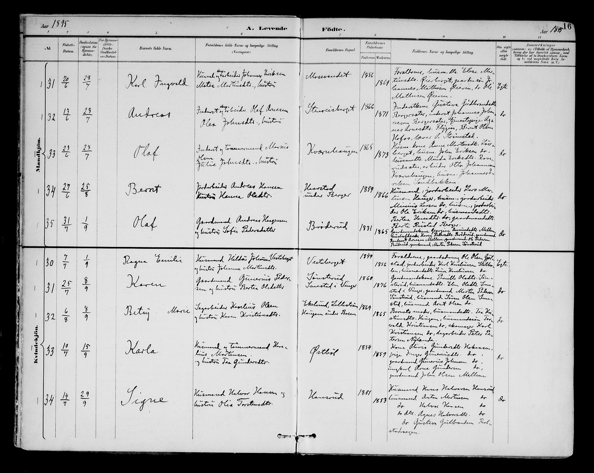 Brandval prestekontor, AV/SAH-PREST-034/H/Ha/Haa/L0003: Parish register (official) no. 3, 1894-1909, p. 16