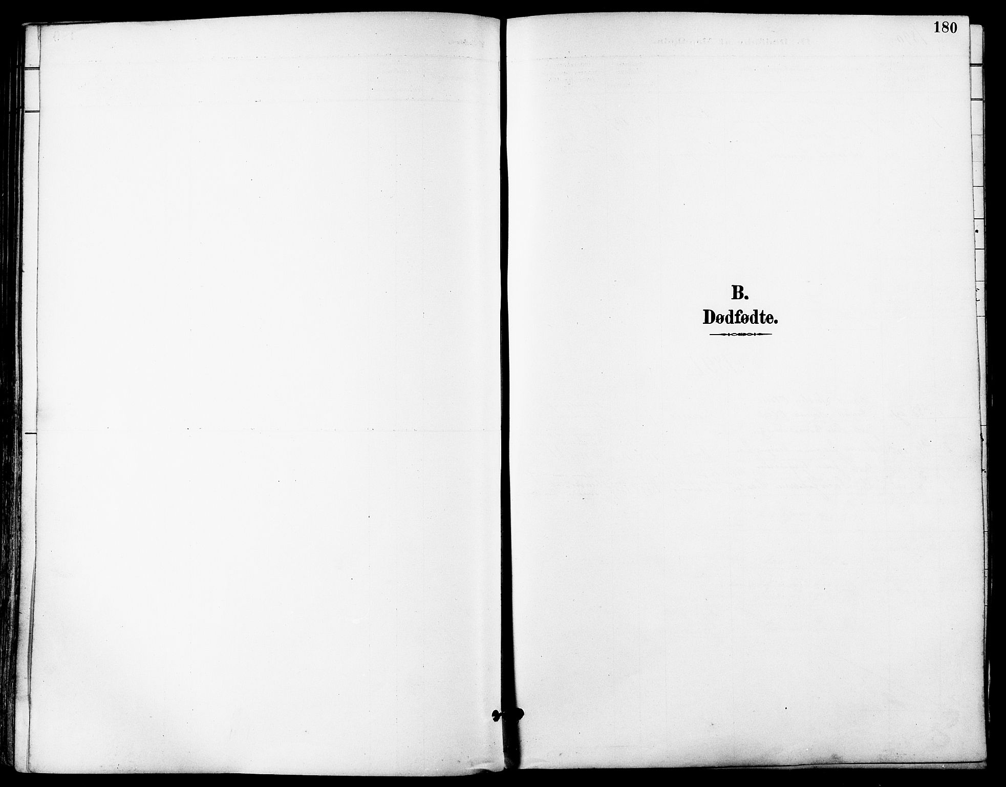 Trondenes sokneprestkontor, AV/SATØ-S-1319/H/Ha/L0016kirke: Parish register (official) no. 16, 1890-1898, p. 180