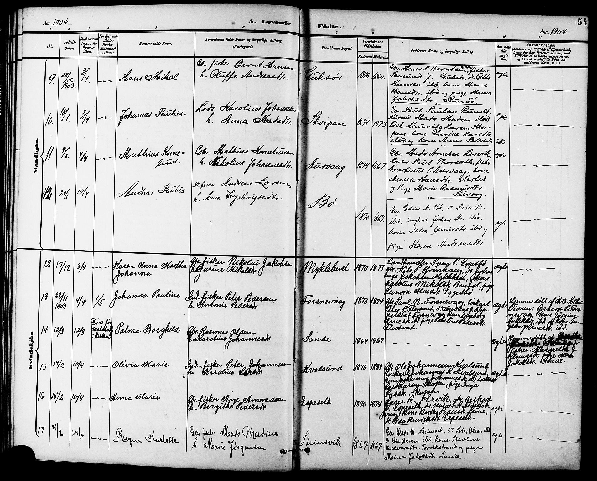 Ministerialprotokoller, klokkerbøker og fødselsregistre - Møre og Romsdal, AV/SAT-A-1454/507/L0082: Parish register (copy) no. 507C05, 1896-1914, p. 54