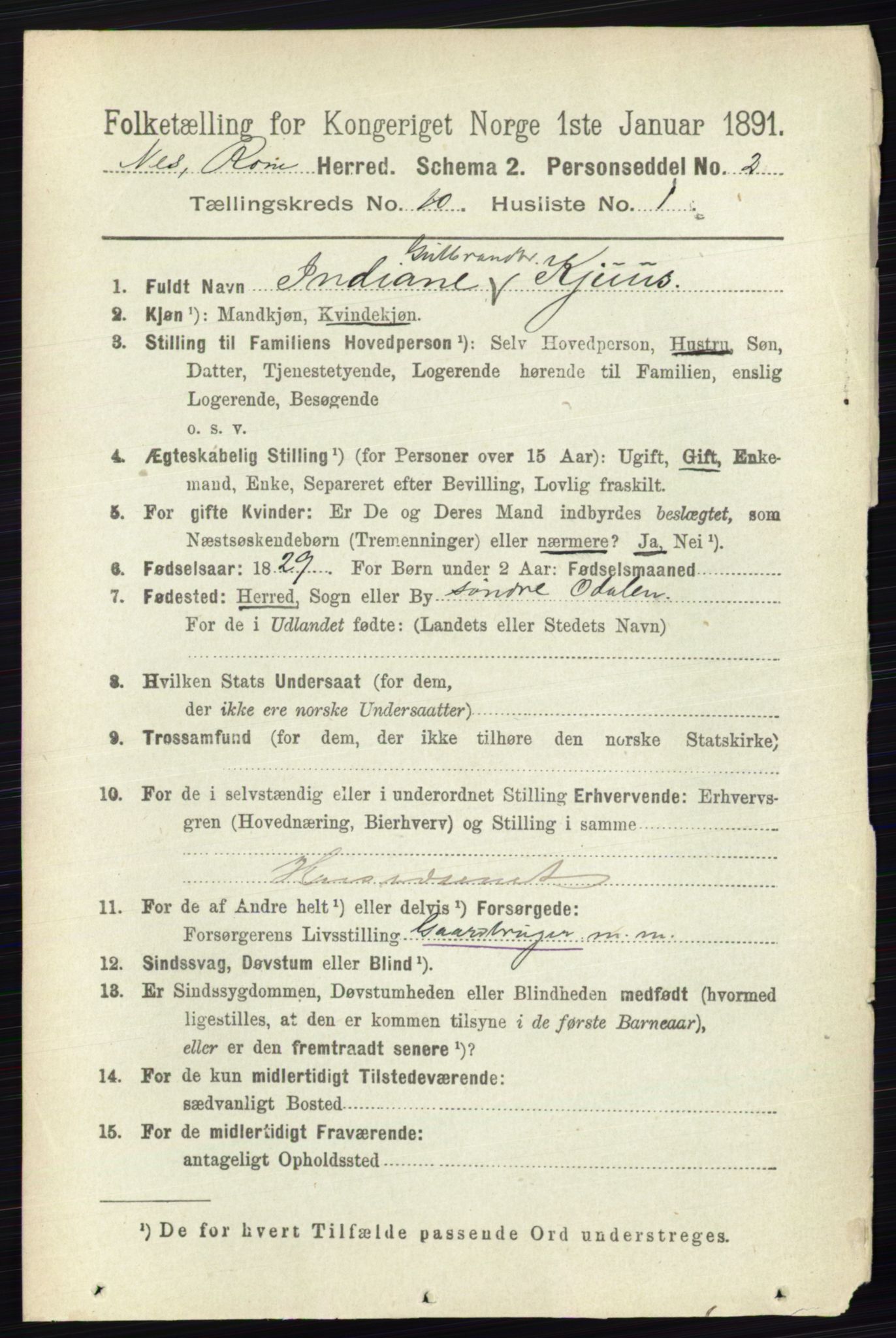 RA, 1891 census for 0236 Nes, 1891, p. 5791