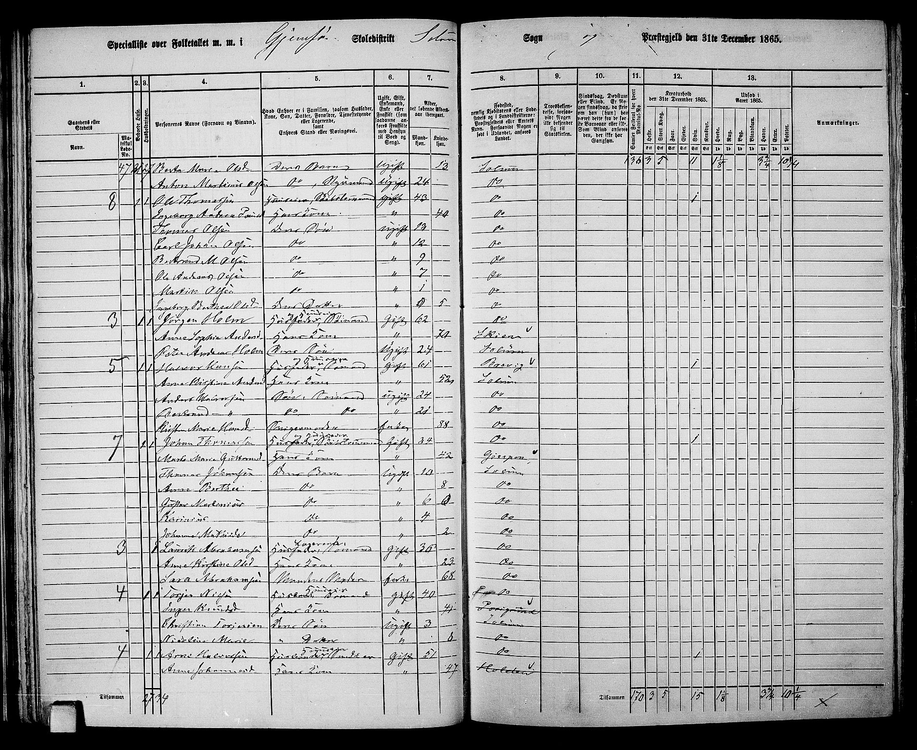 RA, 1865 census for Solum, 1865, p. 52