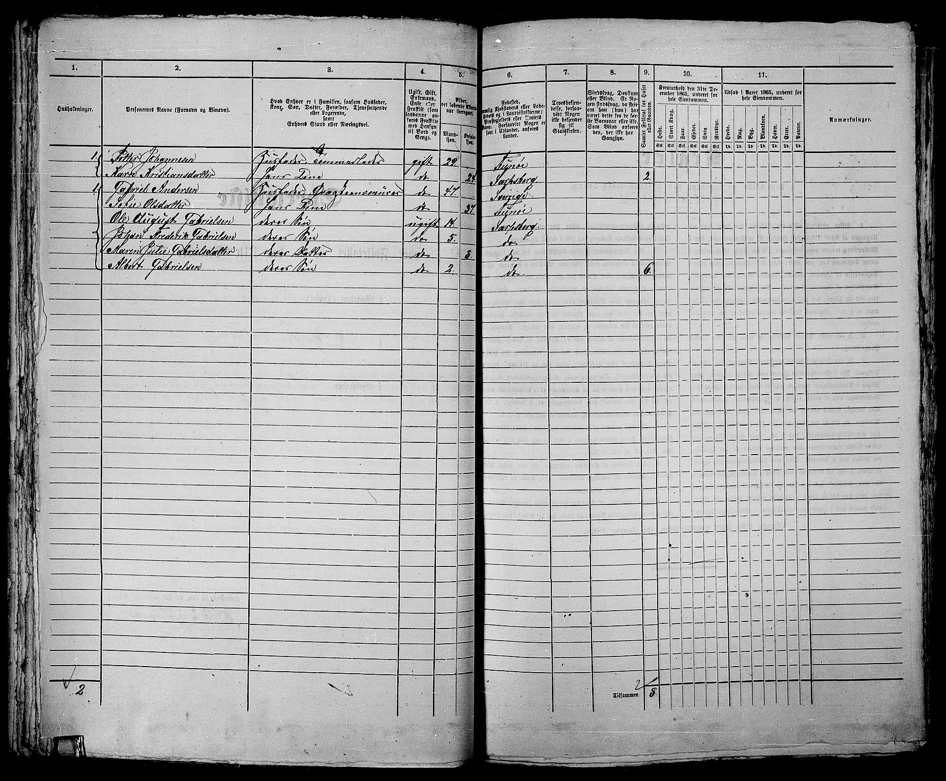 RA, 1865 census for Sarpsborg, 1865, p. 132