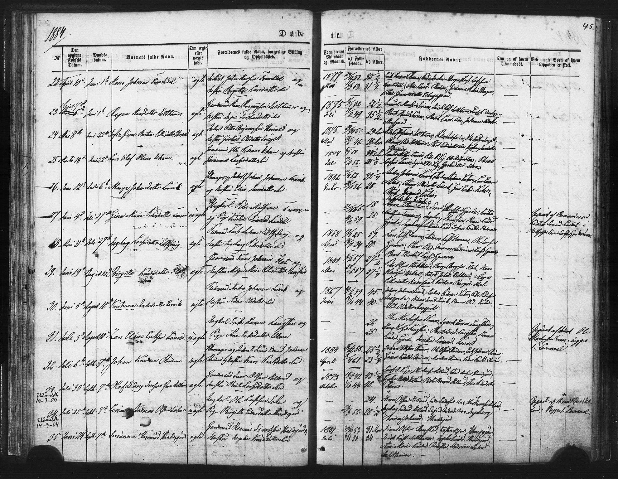 Ministerialprotokoller, klokkerbøker og fødselsregistre - Møre og Romsdal, AV/SAT-A-1454/539/L0530: Parish register (official) no. 539A03, 1872-1886, p. 45