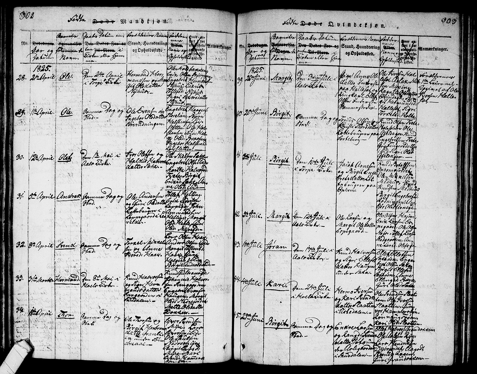 Ål kirkebøker, AV/SAKO-A-249/G/Ga/L0001: Parish register (copy) no. 1, 1815-1829, p. 302-303