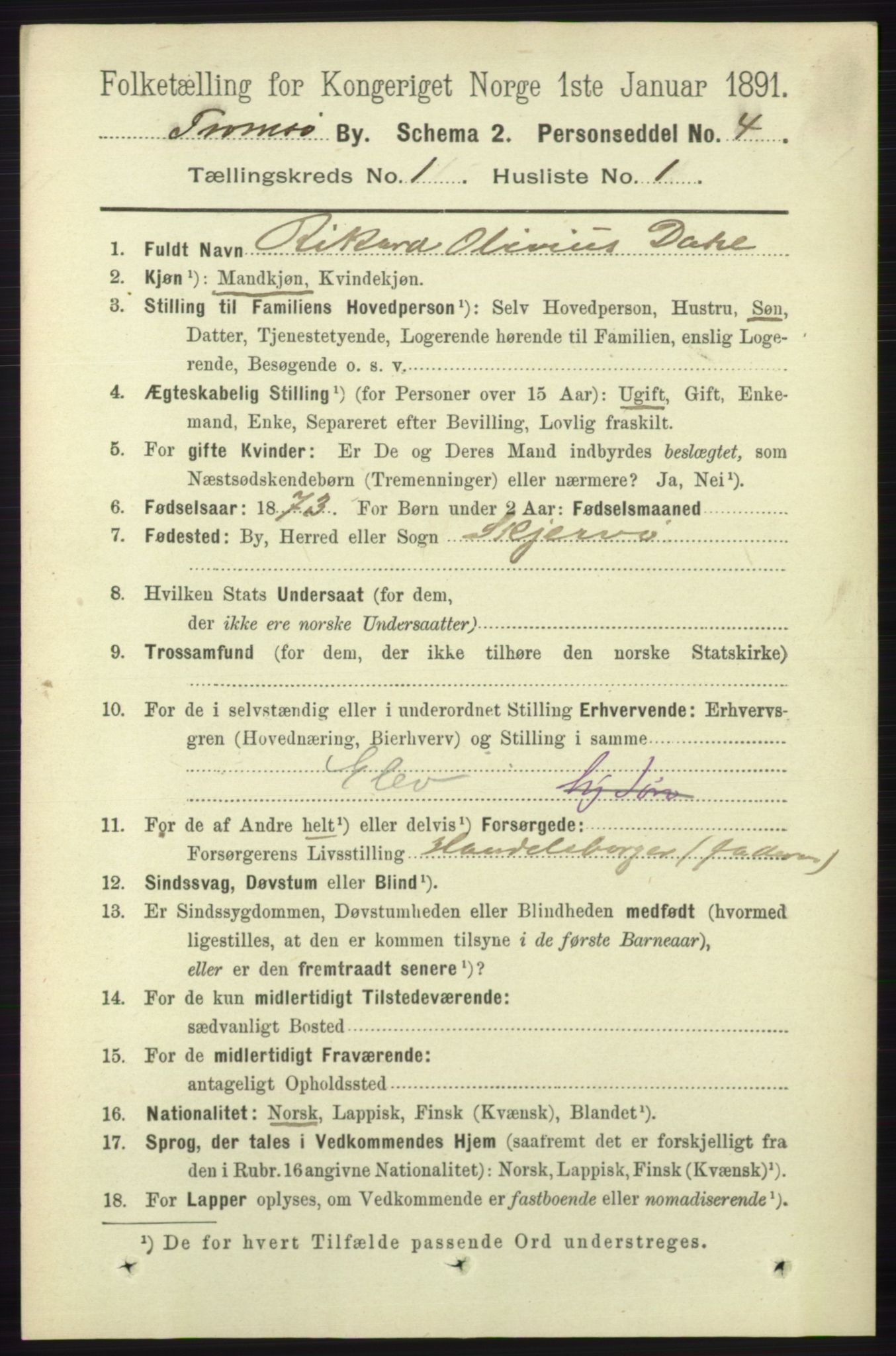 RA, 1891 census for 1902 Tromsø, 1891, p. 294