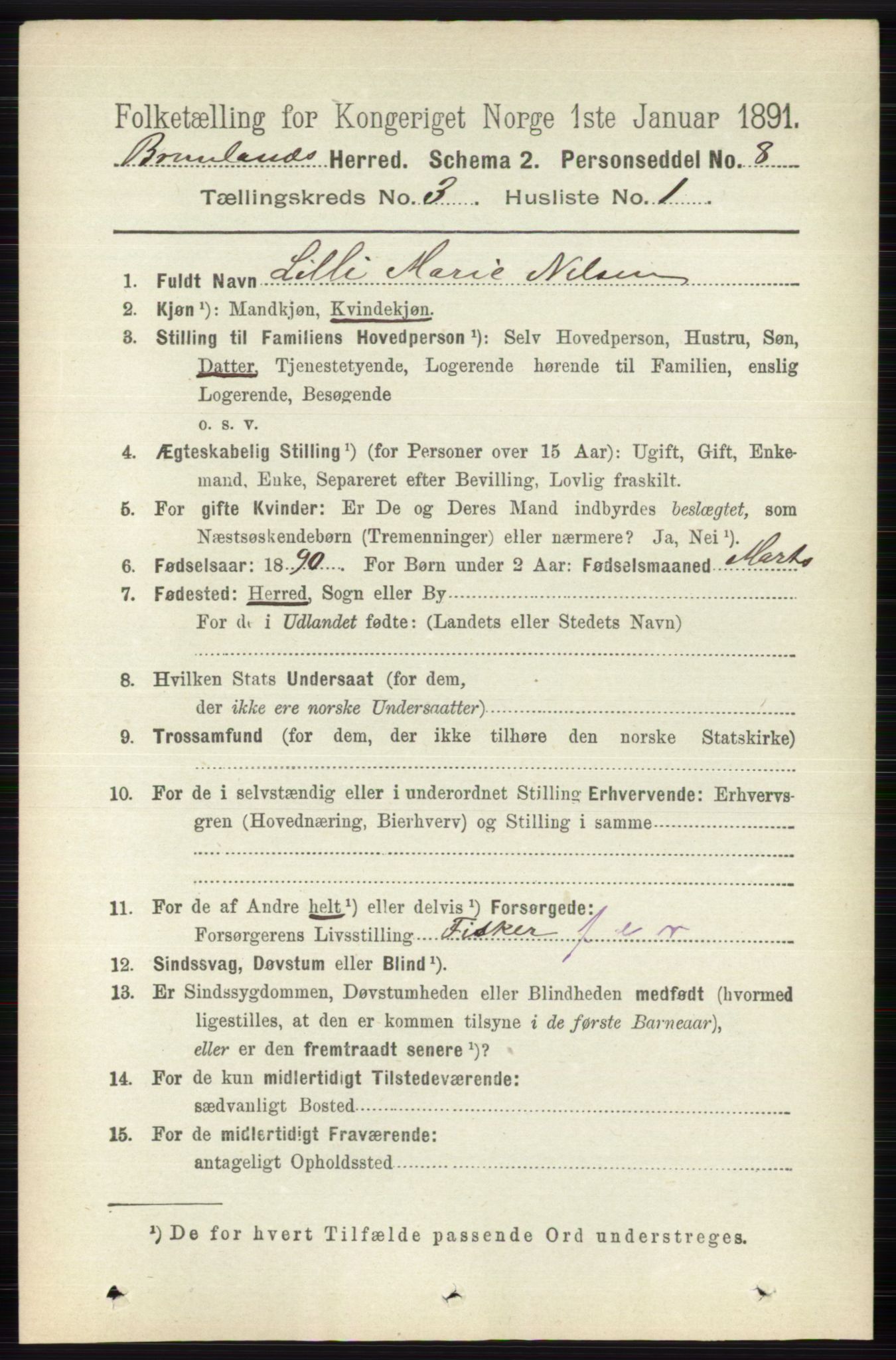 RA, 1891 census for 0726 Brunlanes, 1891, p. 1358