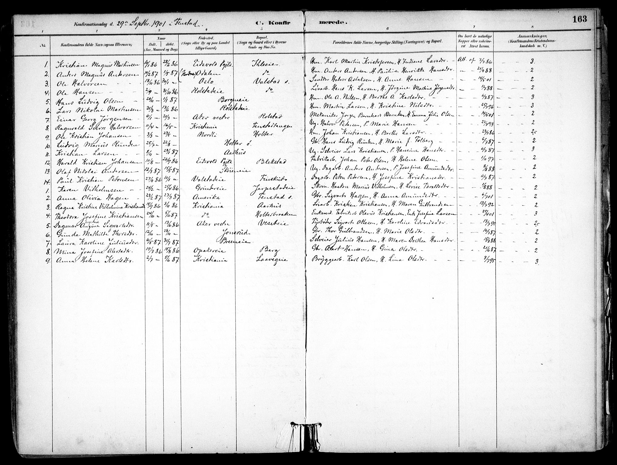 Nes prestekontor Kirkebøker, SAO/A-10410/F/Fb/L0002: Parish register (official) no. II 2, 1883-1918, p. 163