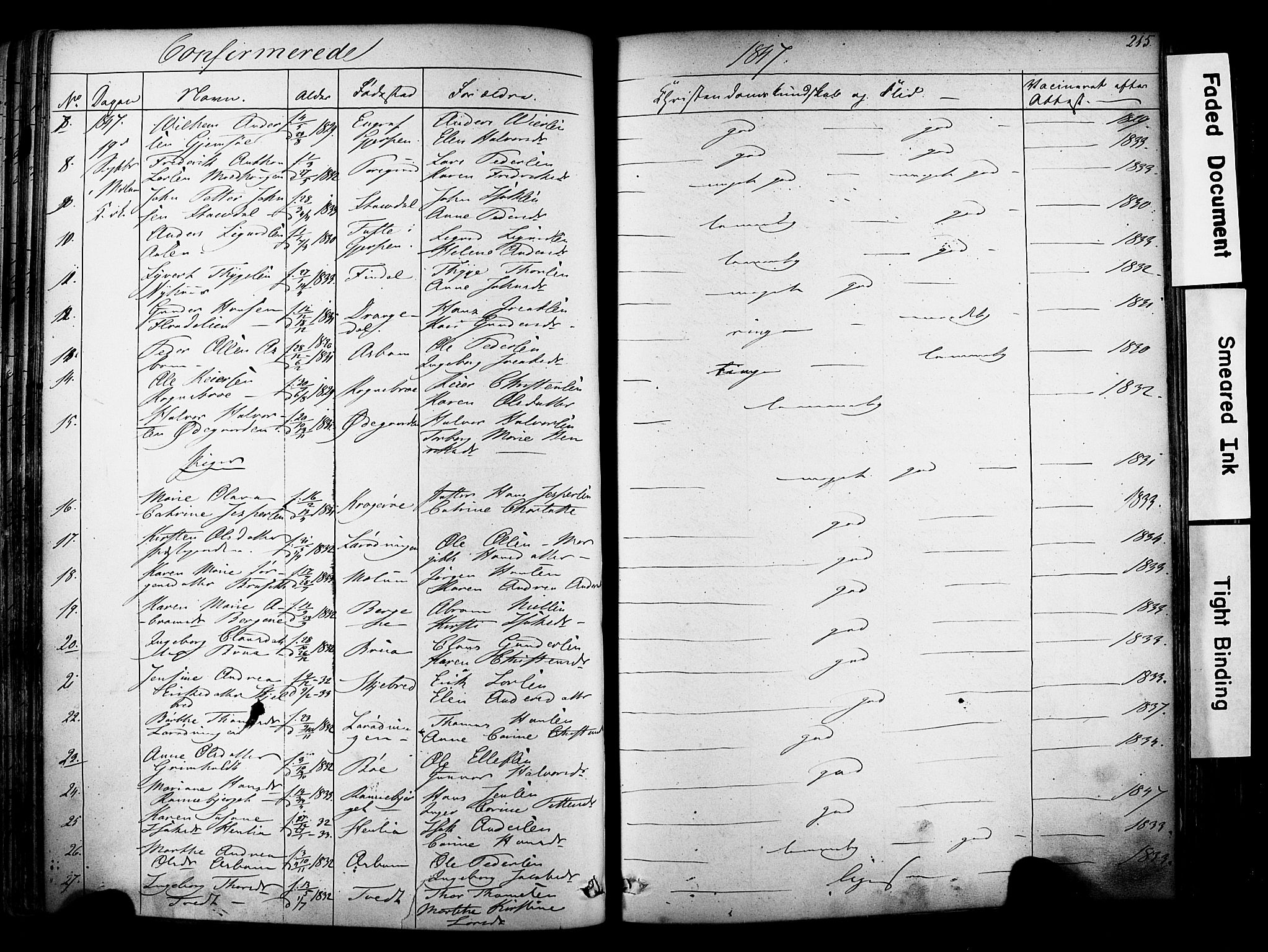 Solum kirkebøker, AV/SAKO-A-306/F/Fa/L0006: Parish register (official) no. I 6, 1844-1855, p. 215