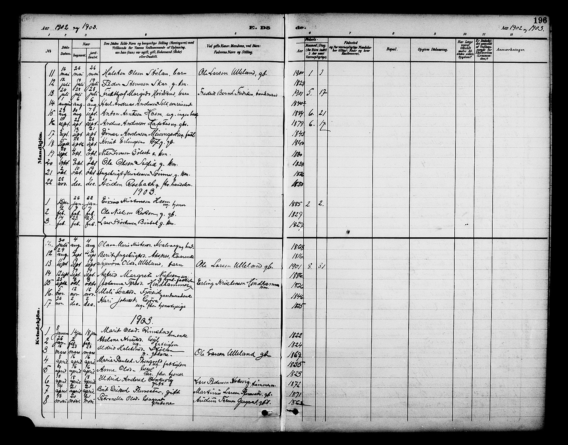 Ministerialprotokoller, klokkerbøker og fødselsregistre - Møre og Romsdal, AV/SAT-A-1454/586/L0992: Parish register (copy) no. 586C03, 1892-1909, p. 196