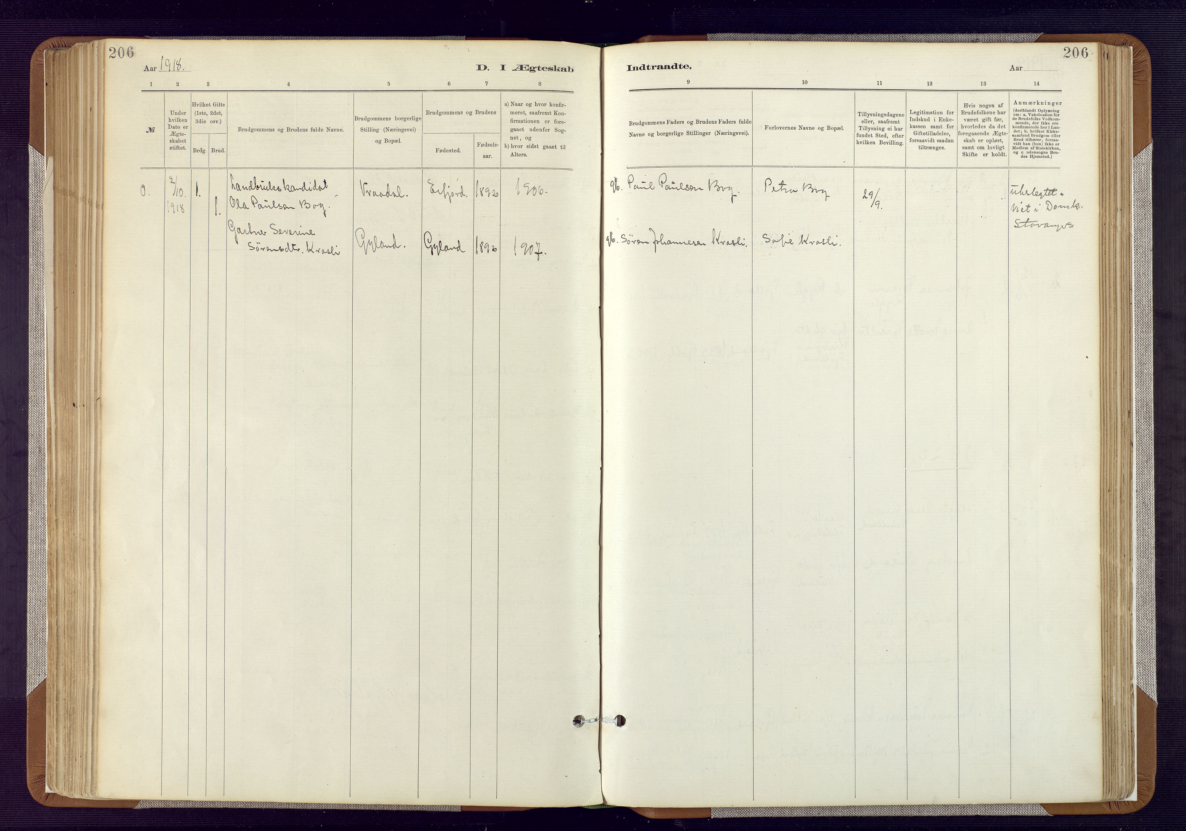 Bakke sokneprestkontor, AV/SAK-1111-0002/F/Fa/Fab/L0003: Parish register (official) no. A 3, 1884-1921, p. 206