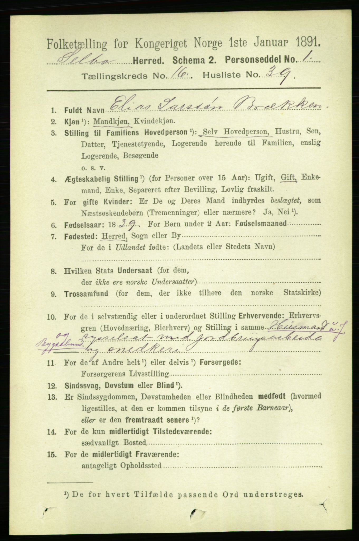 RA, 1891 census for 1664 Selbu, 1891, p. 5993