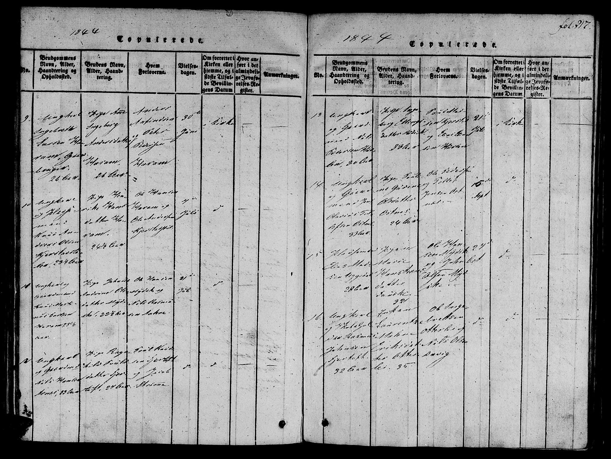Ministerialprotokoller, klokkerbøker og fødselsregistre - Møre og Romsdal, SAT/A-1454/536/L0495: Parish register (official) no. 536A04, 1818-1847, p. 217
