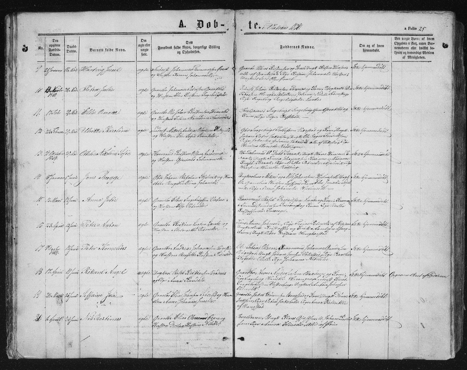 Ministerialprotokoller, klokkerbøker og fødselsregistre - Nordland, AV/SAT-A-1459/810/L0158: Parish register (copy) no. 810C02 /1, 1863-1883, p. 25