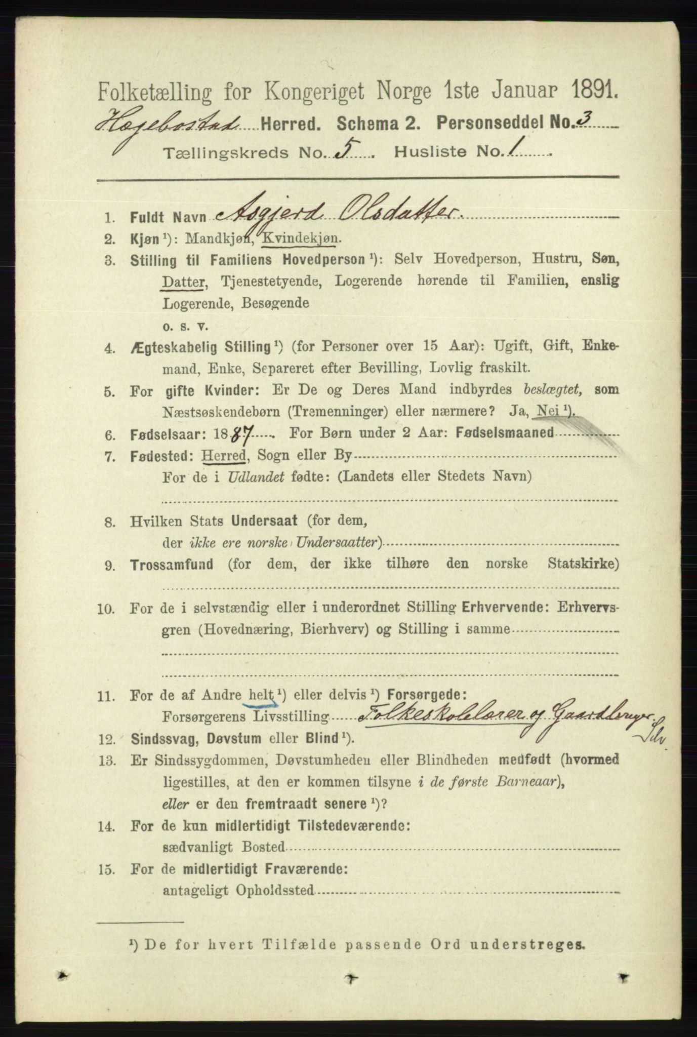 RA, 1891 census for 1034 Hægebostad, 1891, p. 1492