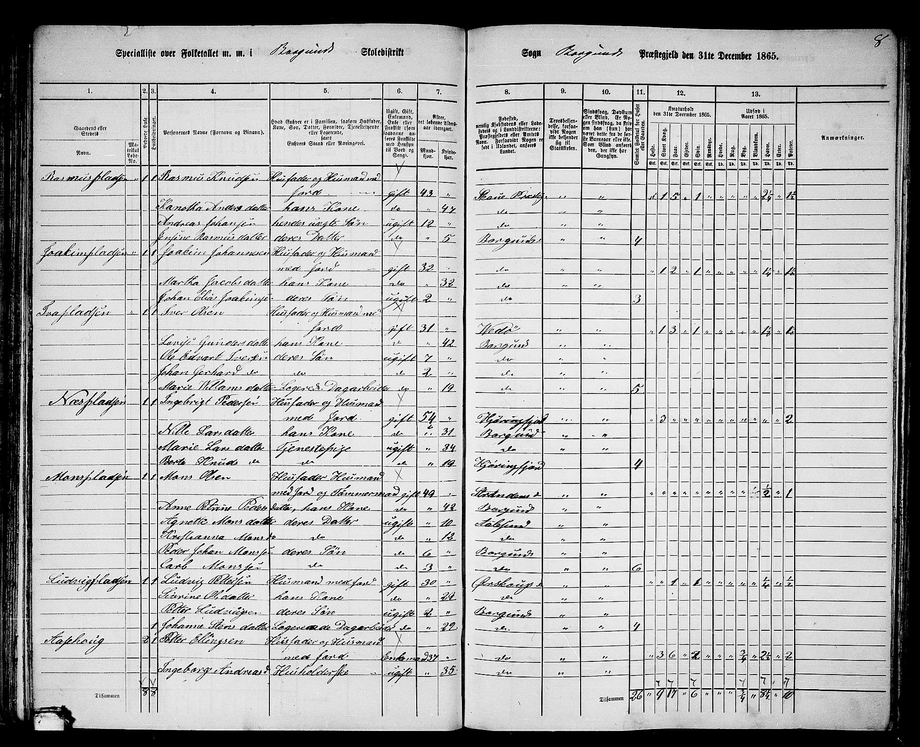 RA, 1865 census for Borgund, 1865, p. 67