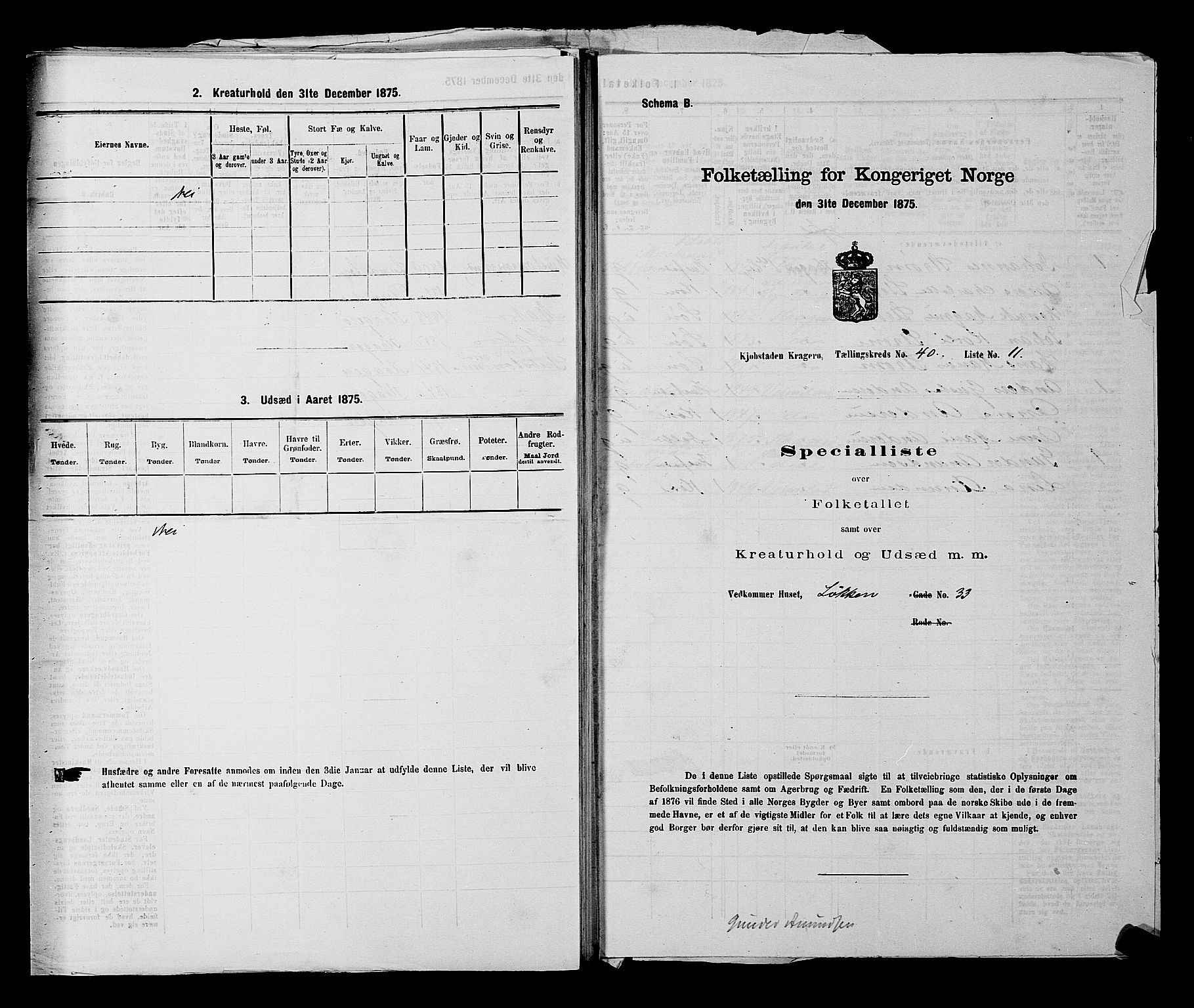 SAKO, 1875 census for 0801P Kragerø, 1875, p. 891