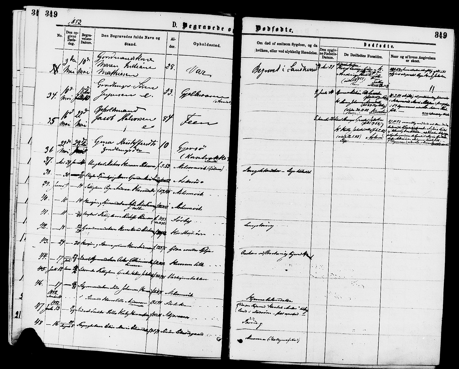 Stokke kirkebøker, AV/SAKO-A-320/F/Fa/L0009: Parish register (official) no. I 9, 1872-1883, p. 349