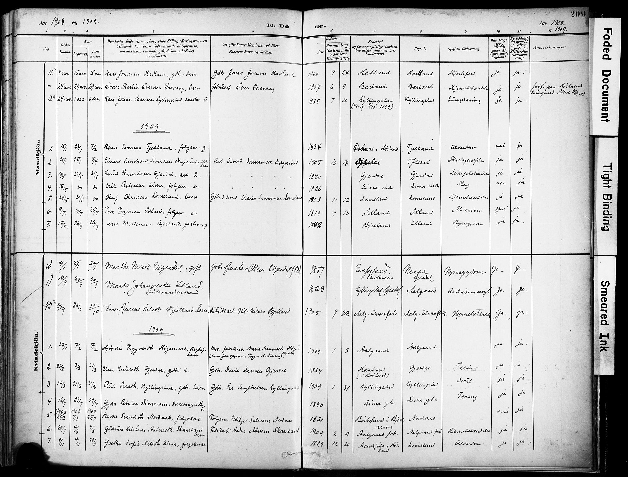 Lye sokneprestkontor, AV/SAST-A-101794/001/30BA/L0012: Parish register (official) no. A 11, 1896-1909, p. 209