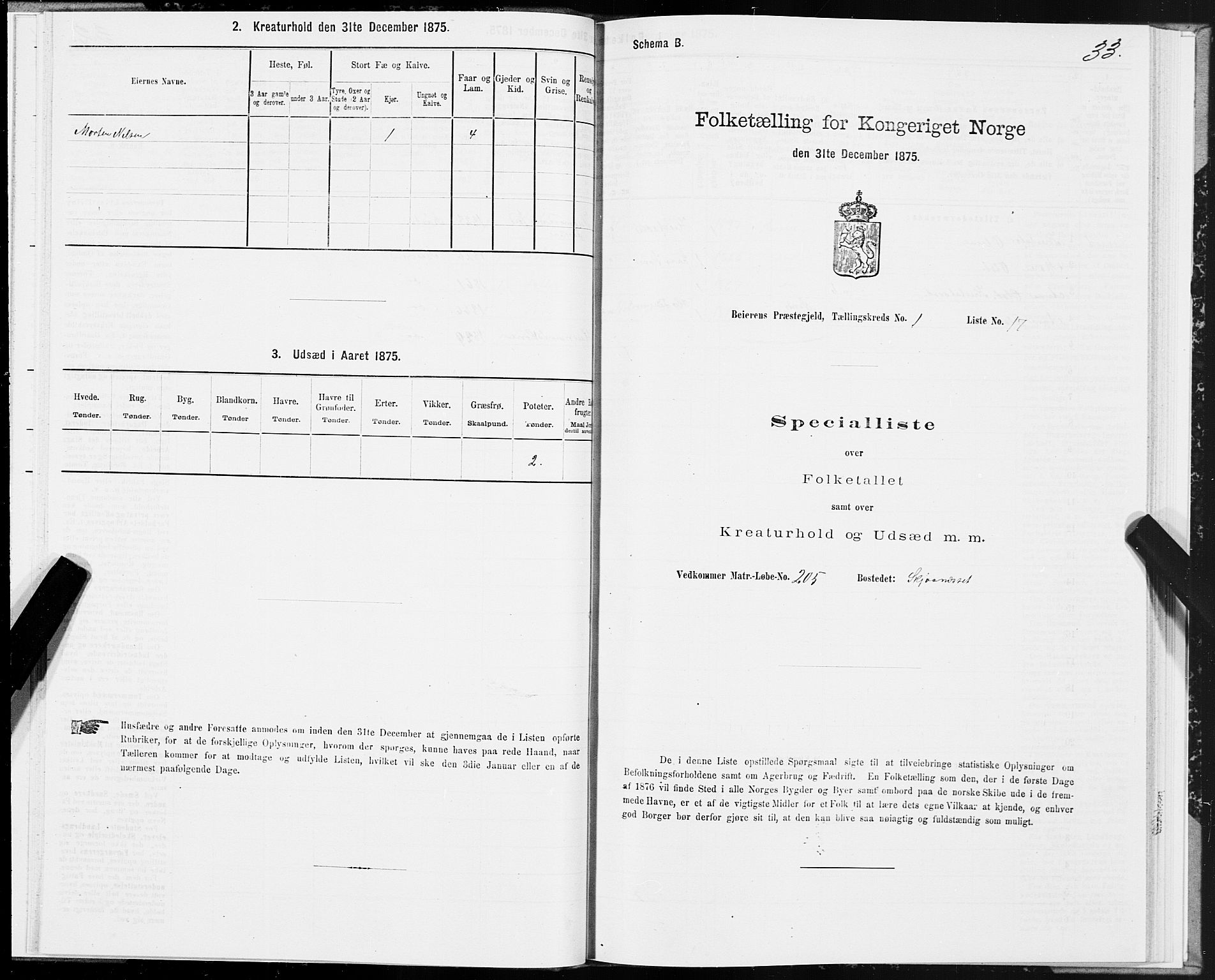 SAT, 1875 census for 1839P Beiarn, 1875, p. 1033