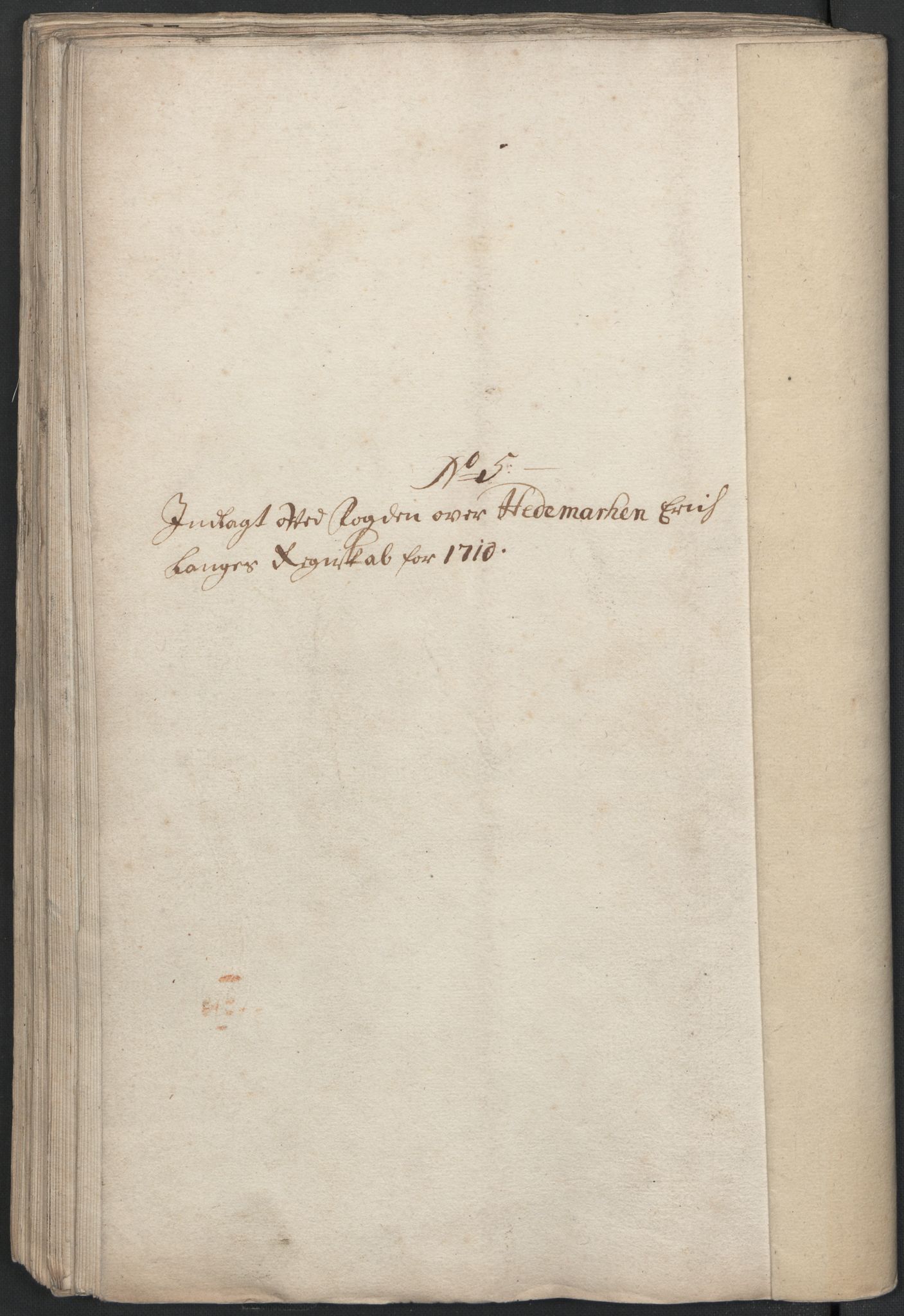 Rentekammeret inntil 1814, Reviderte regnskaper, Fogderegnskap, AV/RA-EA-4092/R16/L1046: Fogderegnskap Hedmark, 1710, p. 202