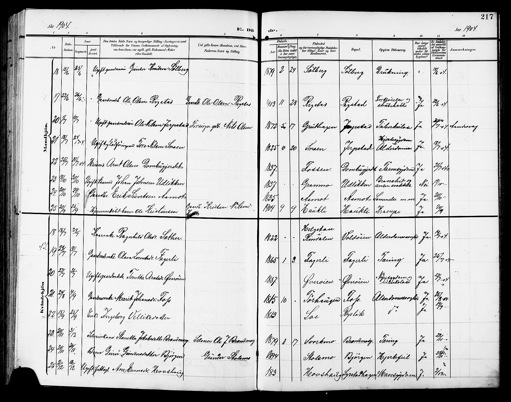 Ministerialprotokoller, klokkerbøker og fødselsregistre - Sør-Trøndelag, AV/SAT-A-1456/672/L0864: Parish register (copy) no. 672C03, 1902-1914, p. 217