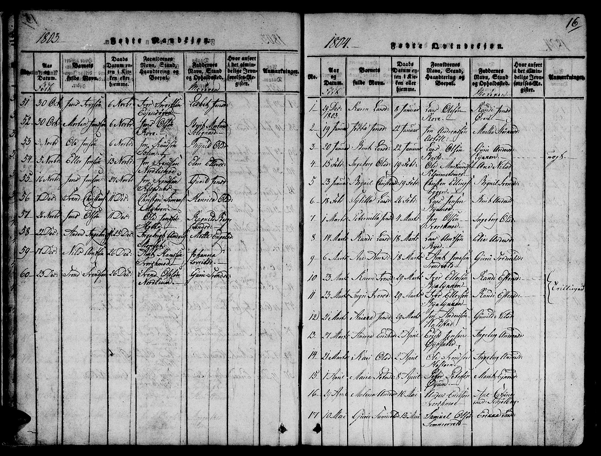 Ministerialprotokoller, klokkerbøker og fødselsregistre - Sør-Trøndelag, SAT/A-1456/668/L0803: Parish register (official) no. 668A03, 1800-1826, p. 16