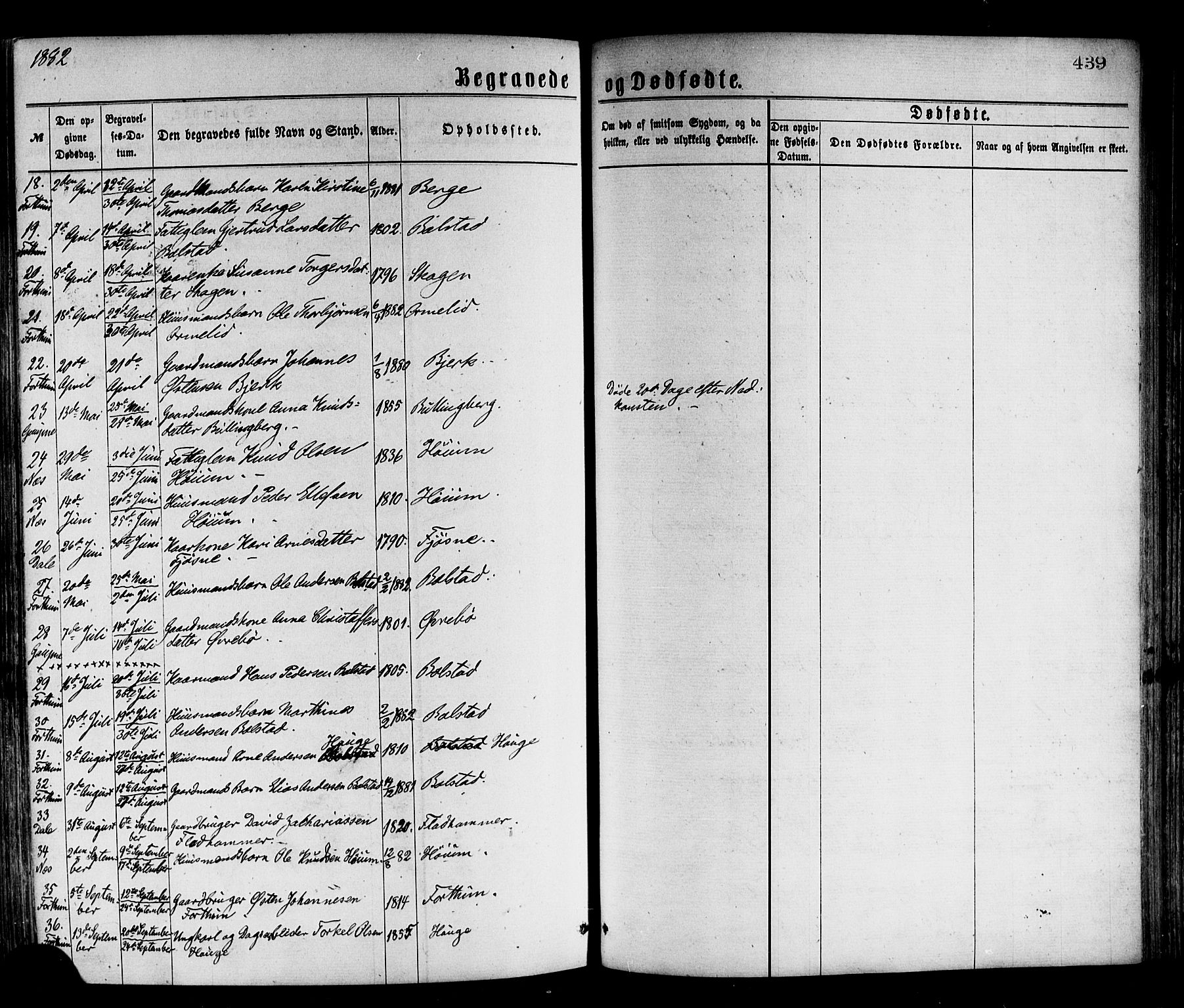 Luster sokneprestembete, SAB/A-81101/H/Haa/Haaa/L0010: Parish register (official) no. A 10, 1871-1886, p. 439
