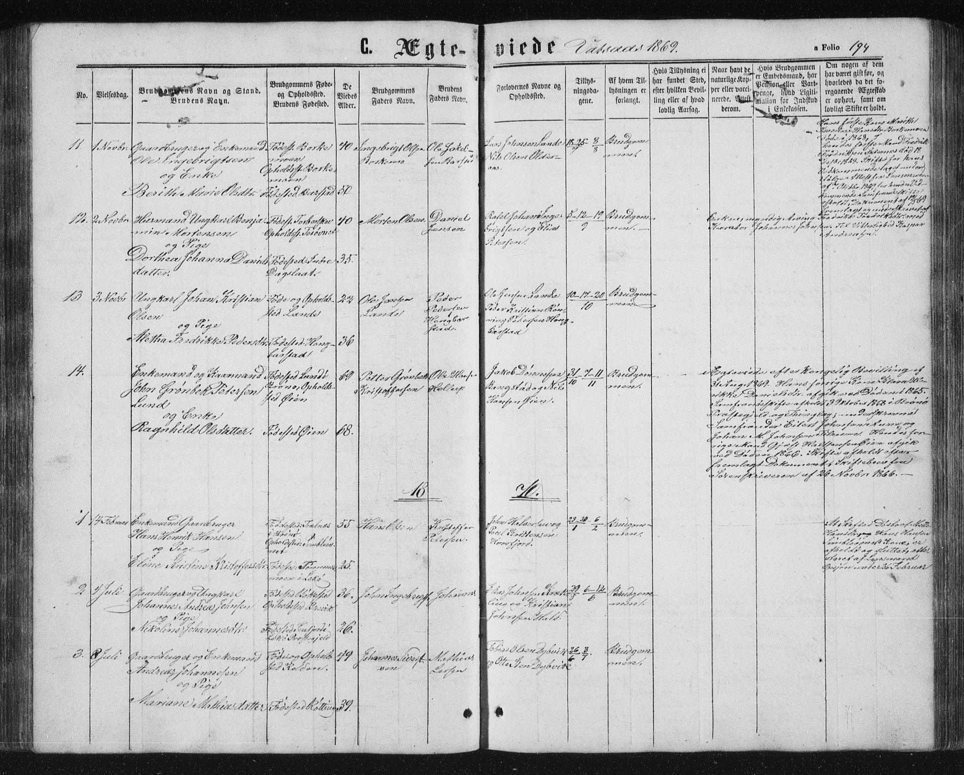 Ministerialprotokoller, klokkerbøker og fødselsregistre - Nordland, AV/SAT-A-1459/810/L0158: Parish register (copy) no. 810C02 /1, 1863-1883, p. 194