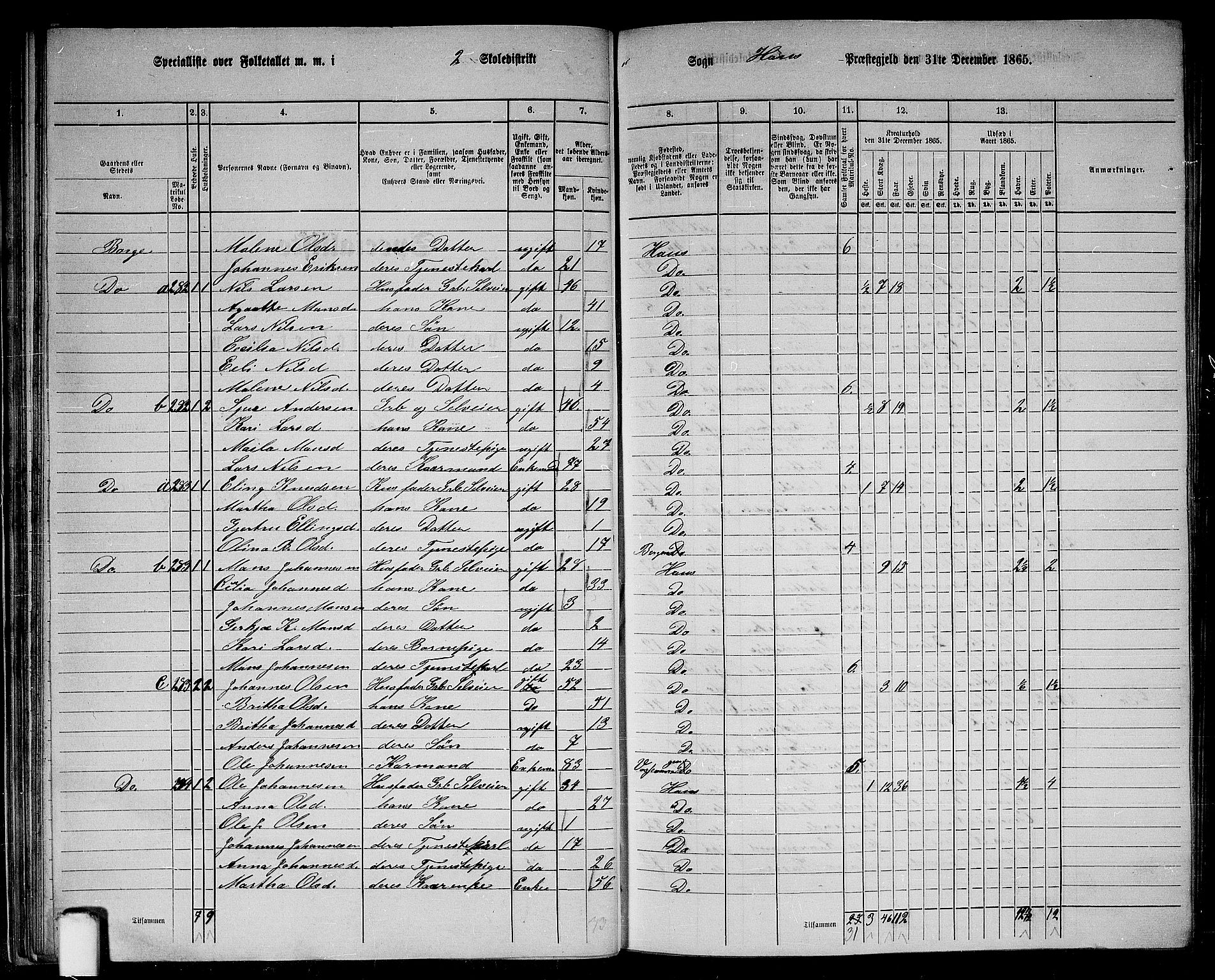 RA, 1865 census for Haus, 1865, p. 51