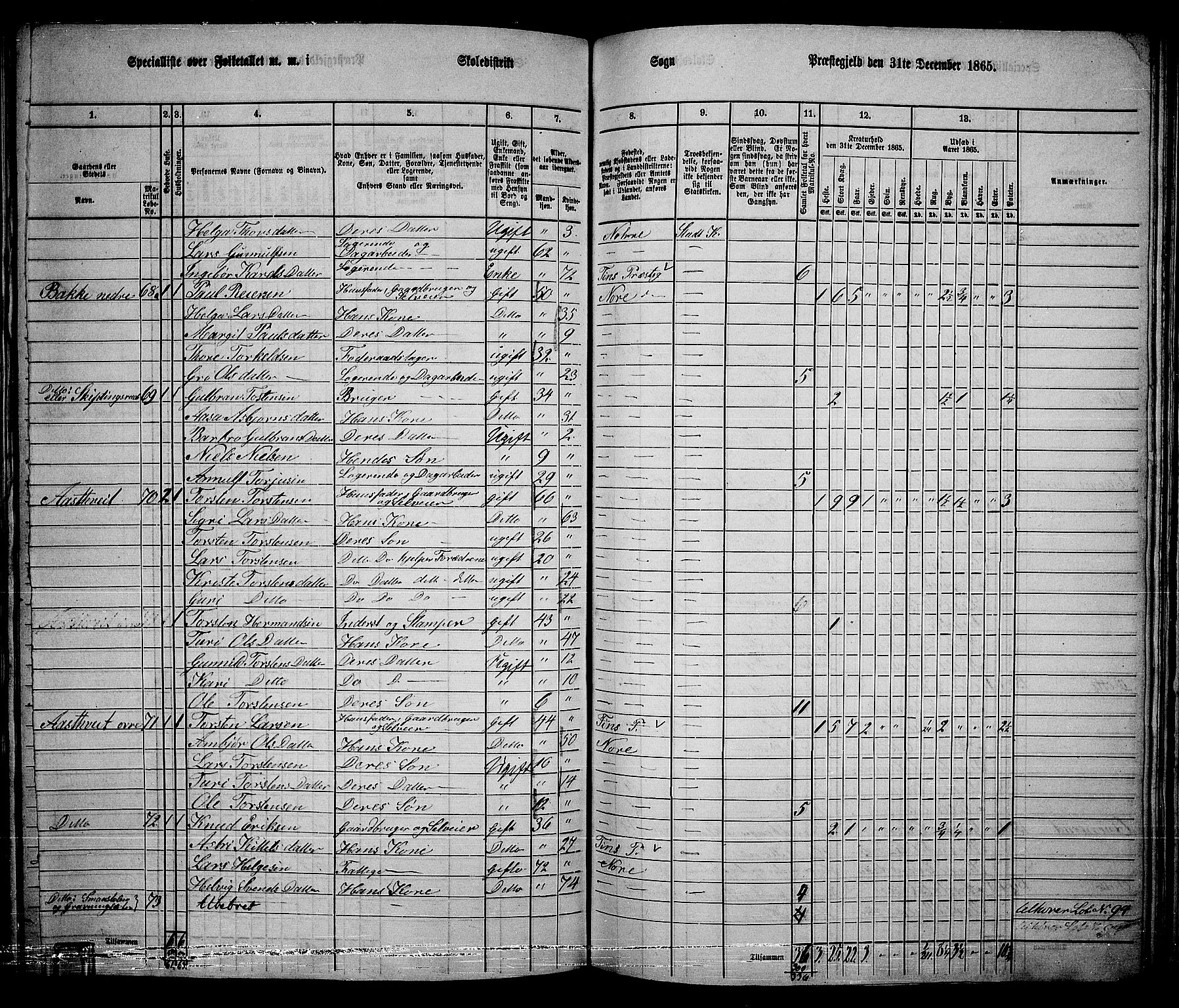 RA, 1865 census for Nore, 1865, p. 113