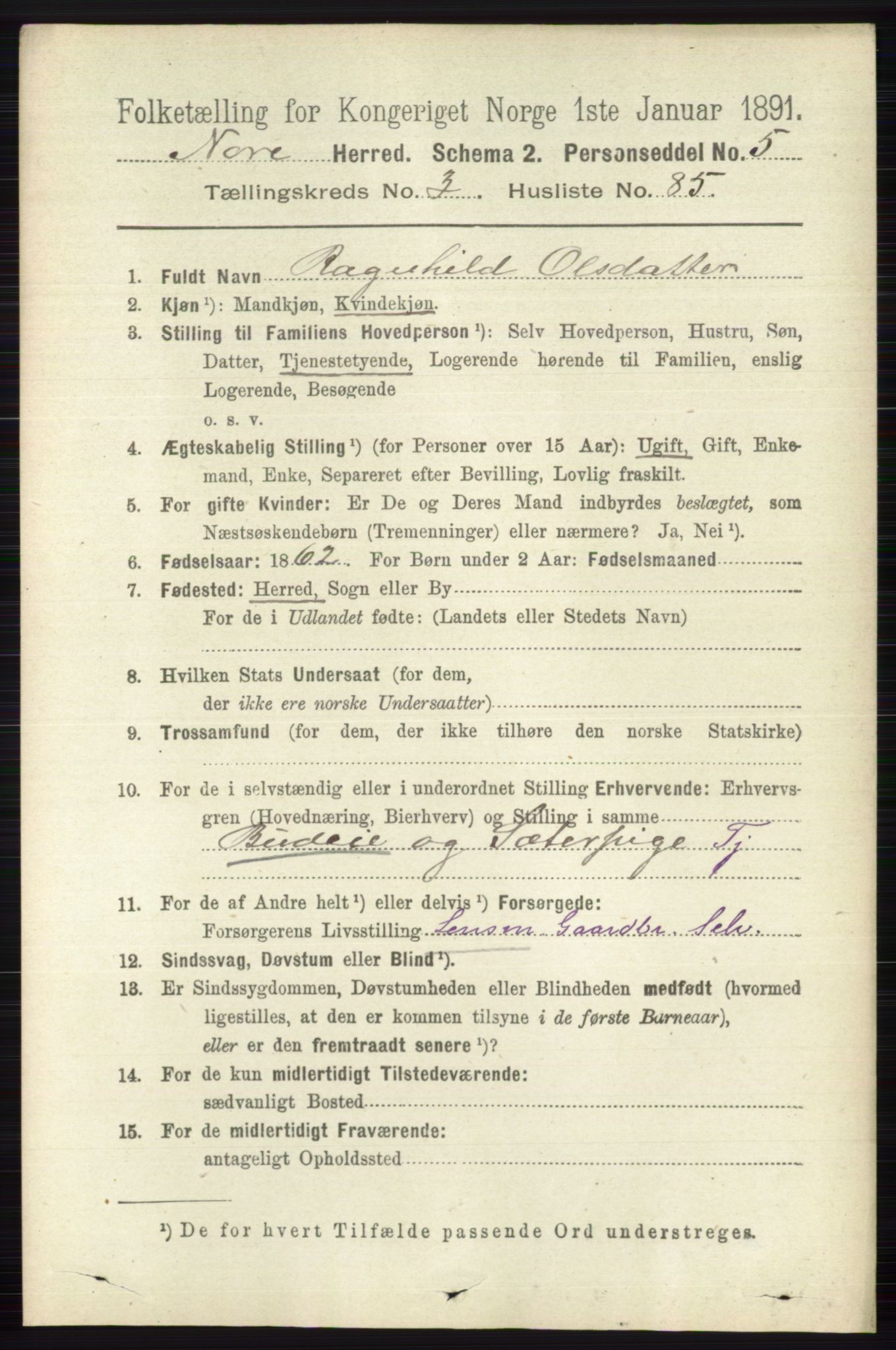 RA, 1891 census for 0633 Nore, 1891, p. 1212