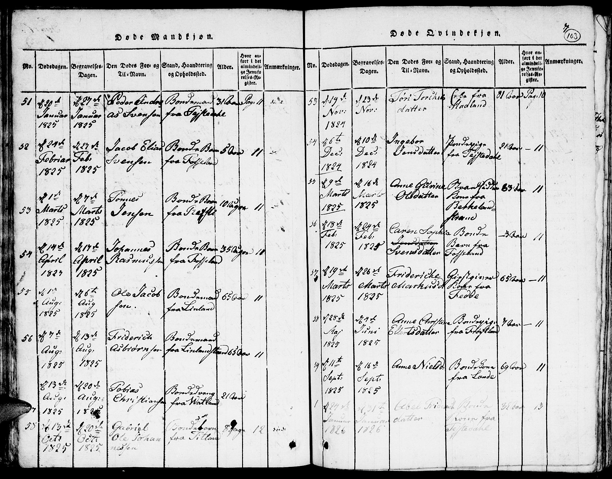 Kvinesdal sokneprestkontor, AV/SAK-1111-0026/F/Fa/Faa/L0001: Parish register (official) no. A 1, 1815-1849, p. 103