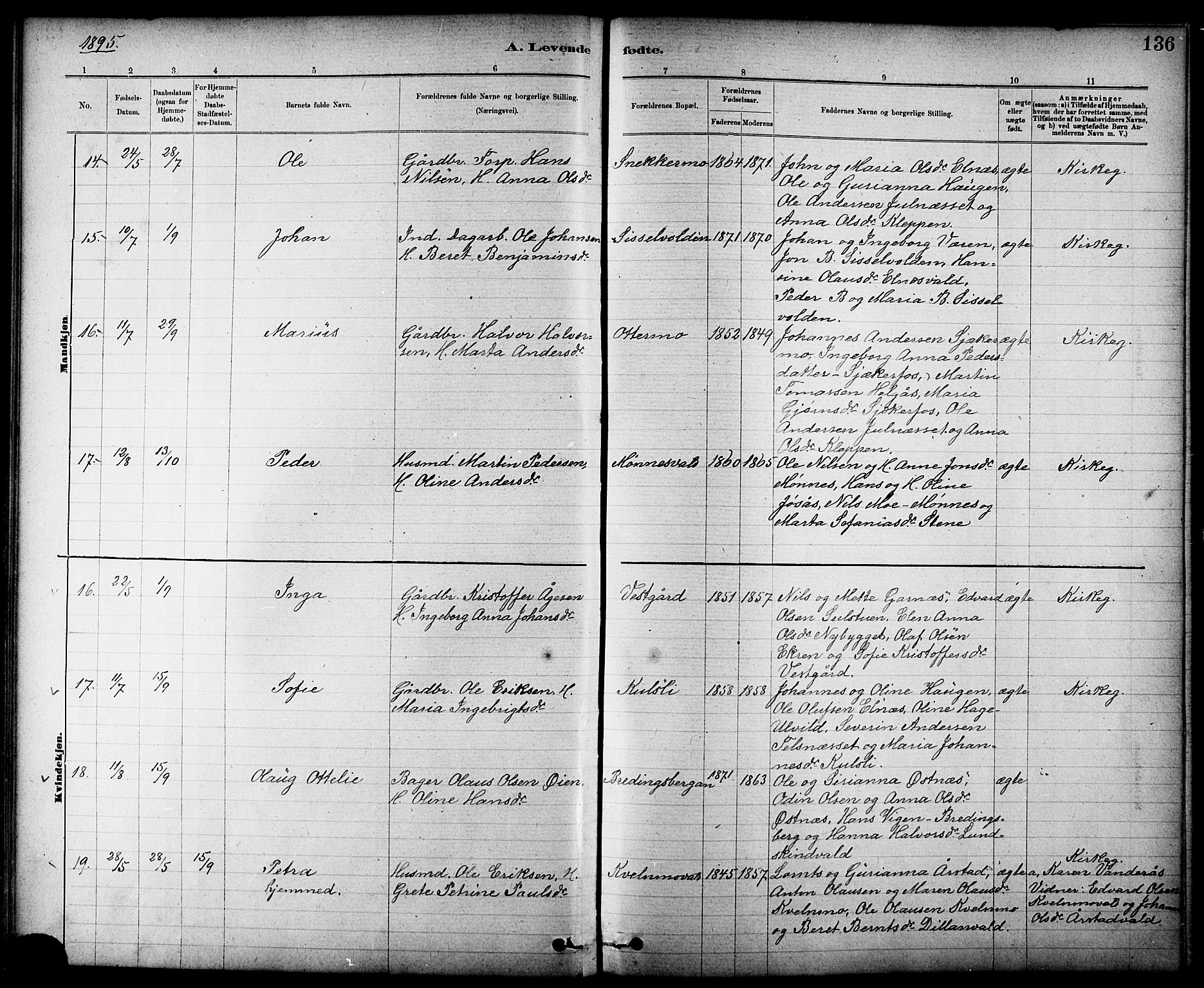 Ministerialprotokoller, klokkerbøker og fødselsregistre - Nord-Trøndelag, AV/SAT-A-1458/724/L0267: Parish register (copy) no. 724C03, 1879-1898, p. 136