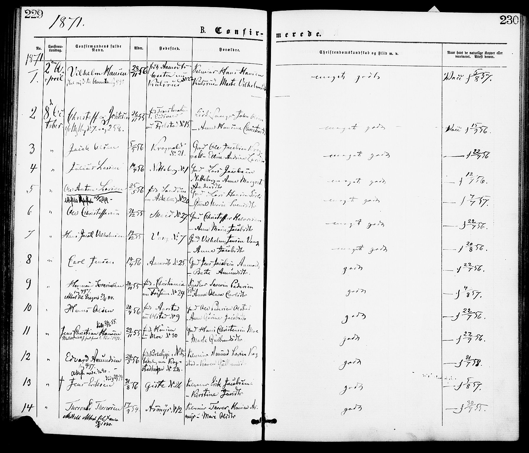 Gjerdrum prestekontor Kirkebøker, AV/SAO-A-10412b/F/Fa/L0008: Parish register (official) no. I 8, 1867-1880, p. 229-230