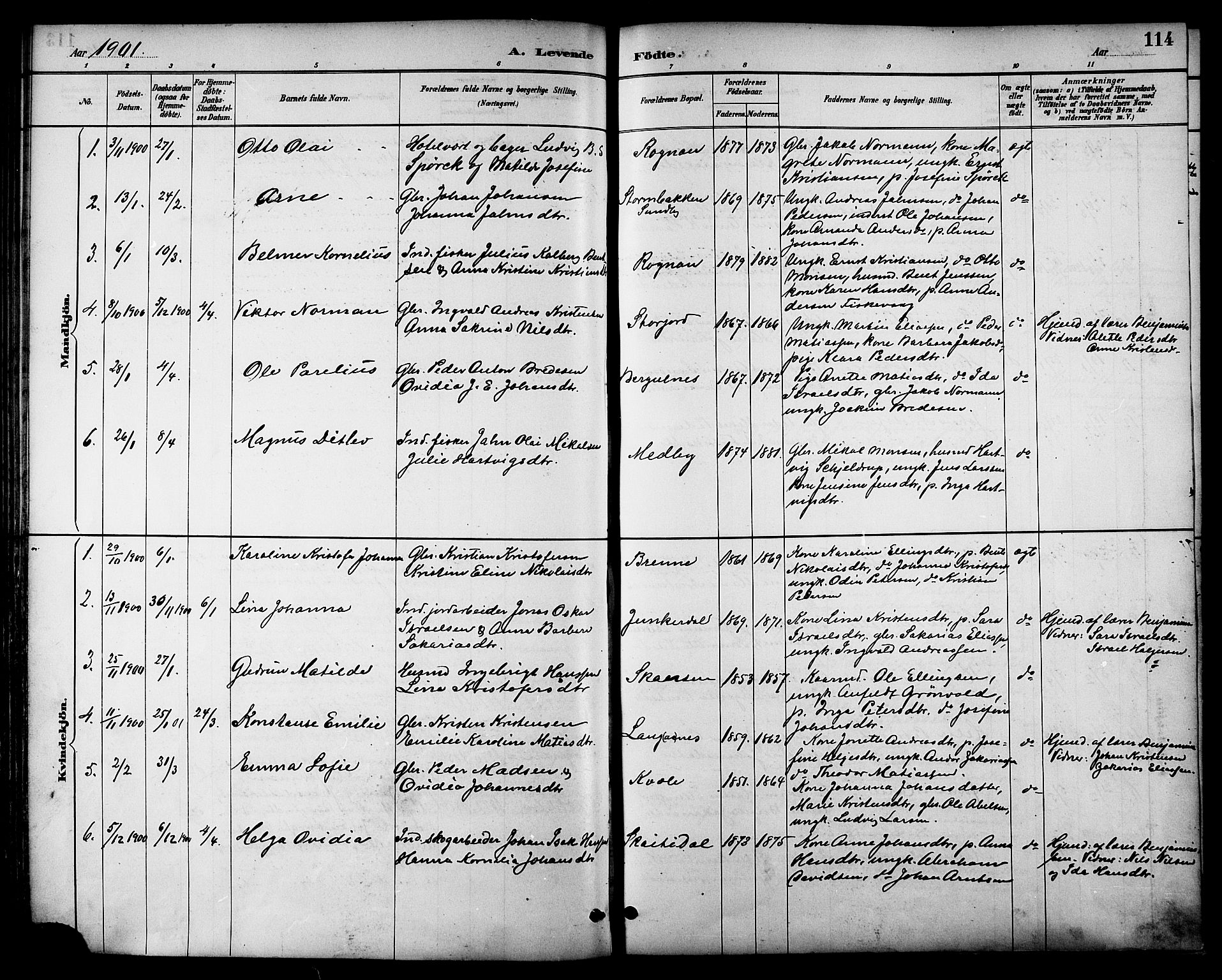 Ministerialprotokoller, klokkerbøker og fødselsregistre - Nordland, SAT/A-1459/847/L0669: Parish register (official) no. 847A09, 1887-1901, p. 114