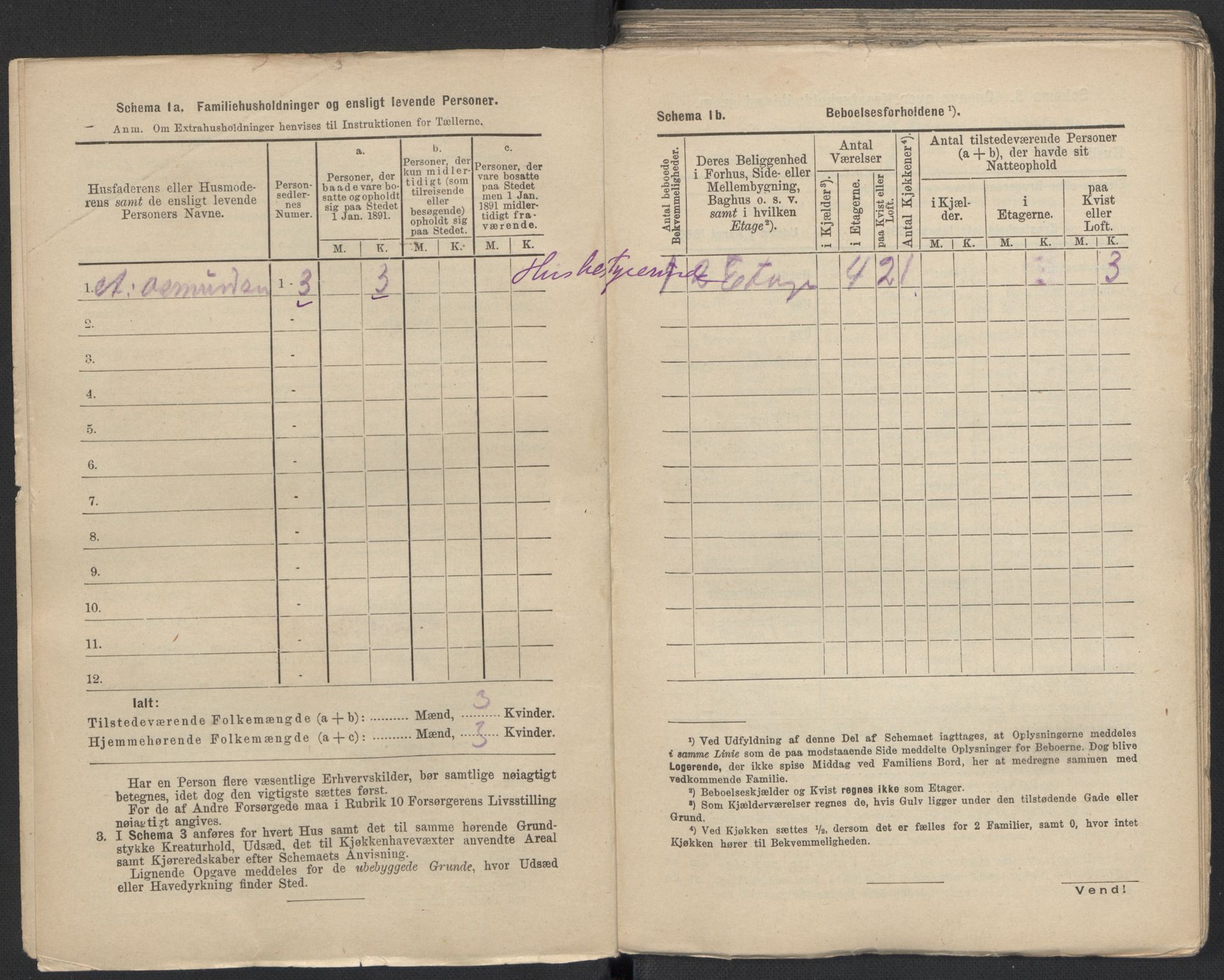 RA, 1891 Census for 1301 Bergen, 1891, p. 3786