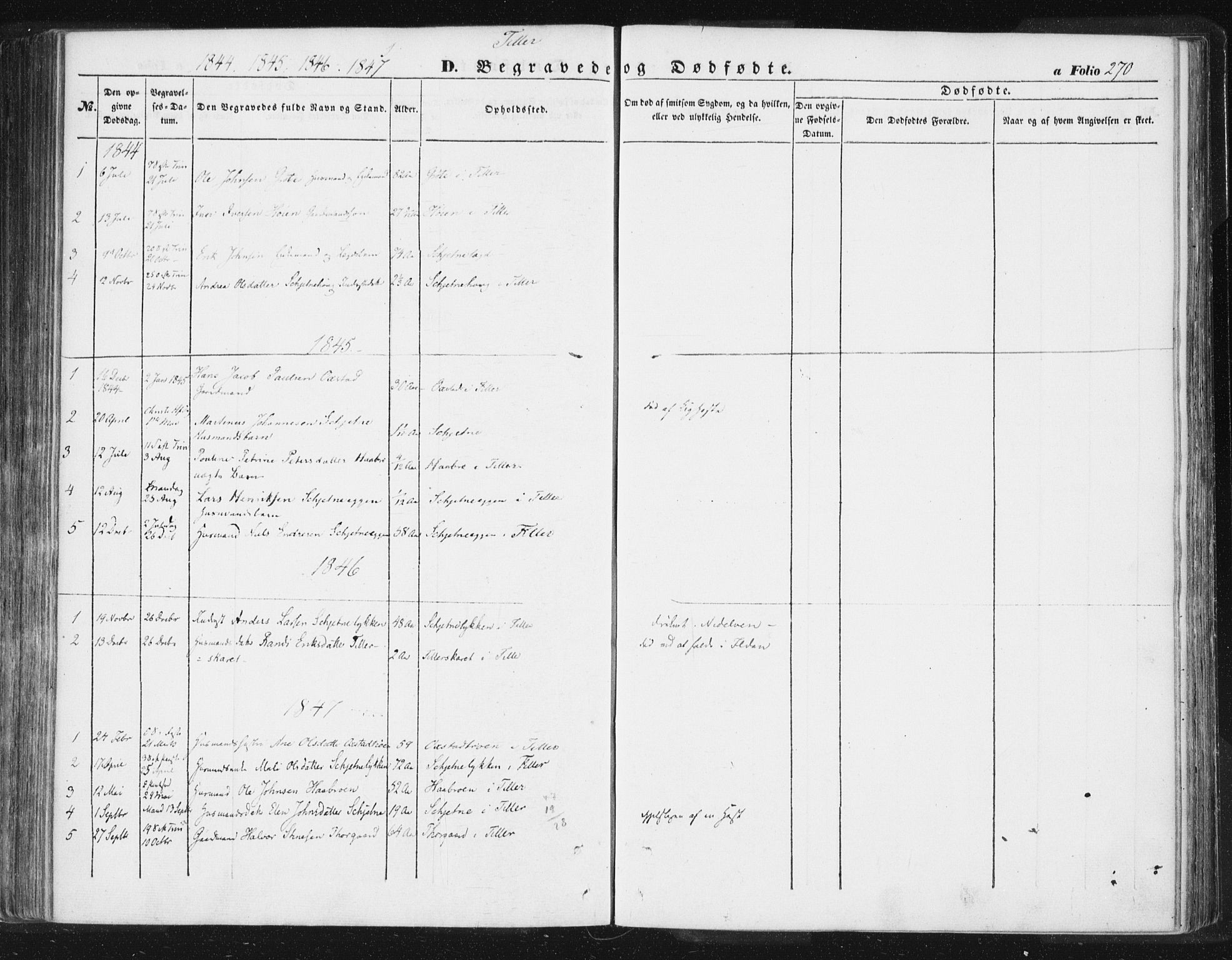 Ministerialprotokoller, klokkerbøker og fødselsregistre - Sør-Trøndelag, SAT/A-1456/618/L0441: Parish register (official) no. 618A05, 1843-1862, p. 270