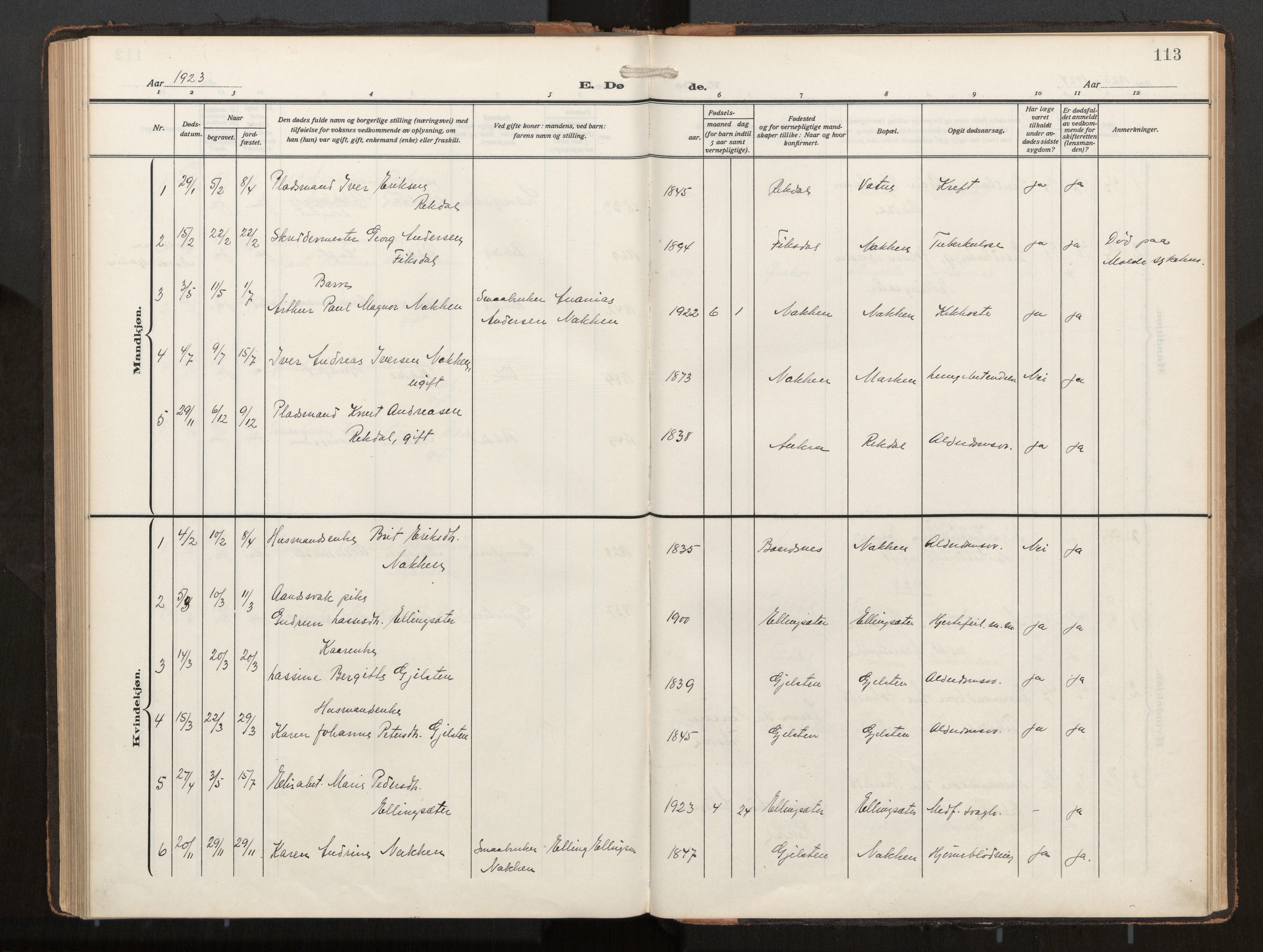 Ministerialprotokoller, klokkerbøker og fødselsregistre - Møre og Romsdal, AV/SAT-A-1454/540/L0540b: Parish register (official) no. 540A03, 1909-1932, p. 113