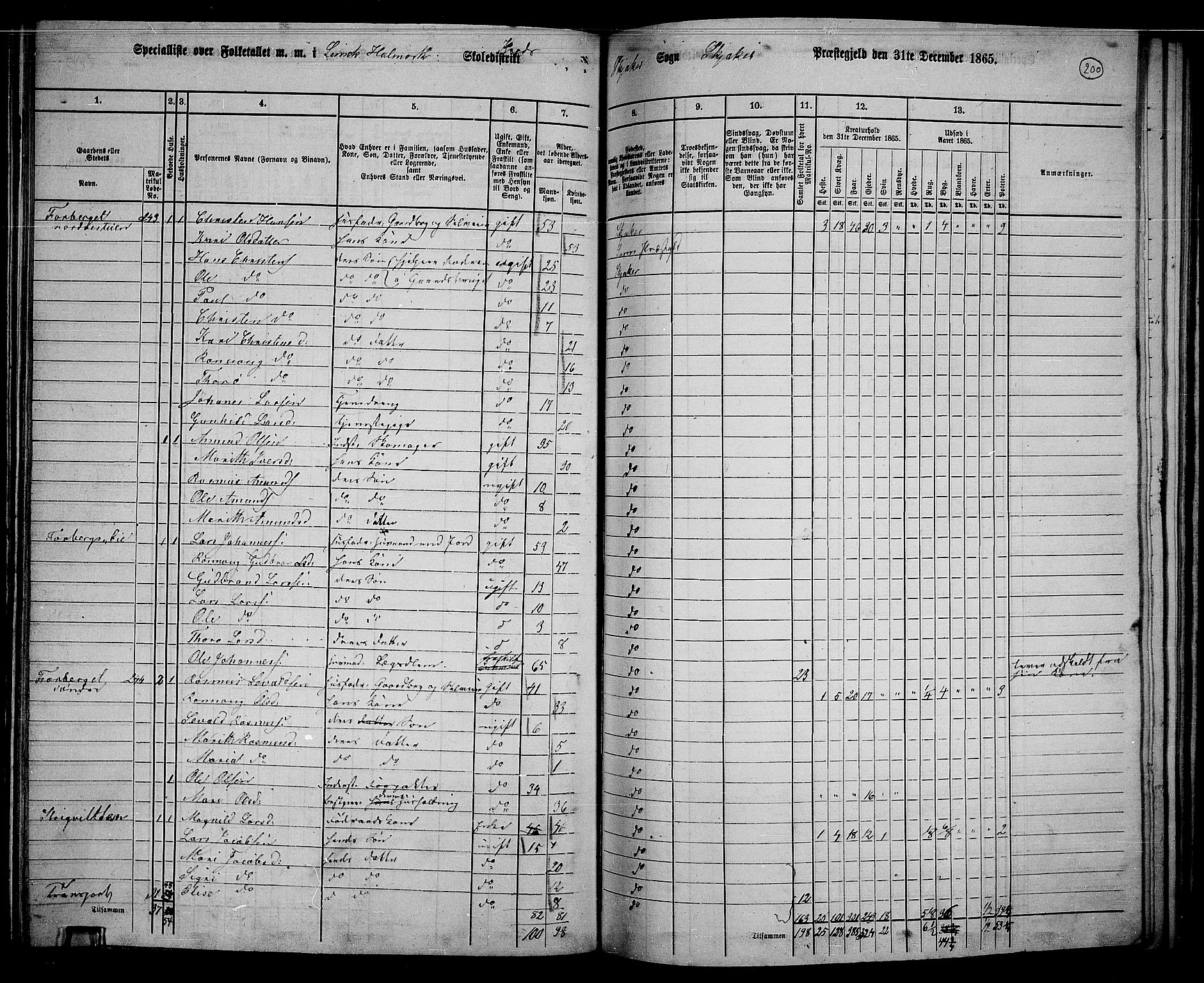 RA, 1865 census for Skjåk, 1865, p. 52