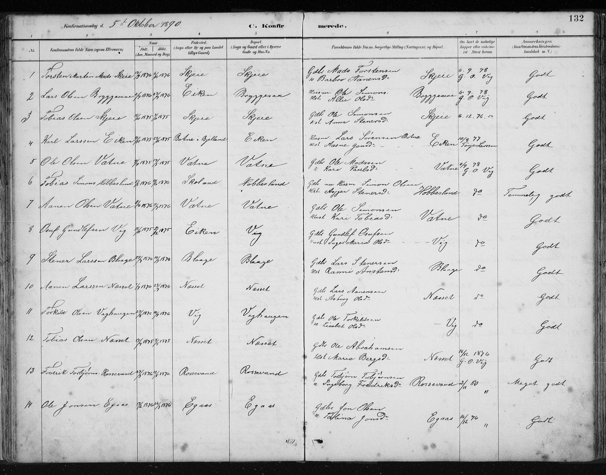 Hægebostad sokneprestkontor, SAK/1111-0024/F/Fb/Fbb/L0003: Parish register (copy) no. B 3, 1887-1937, p. 132