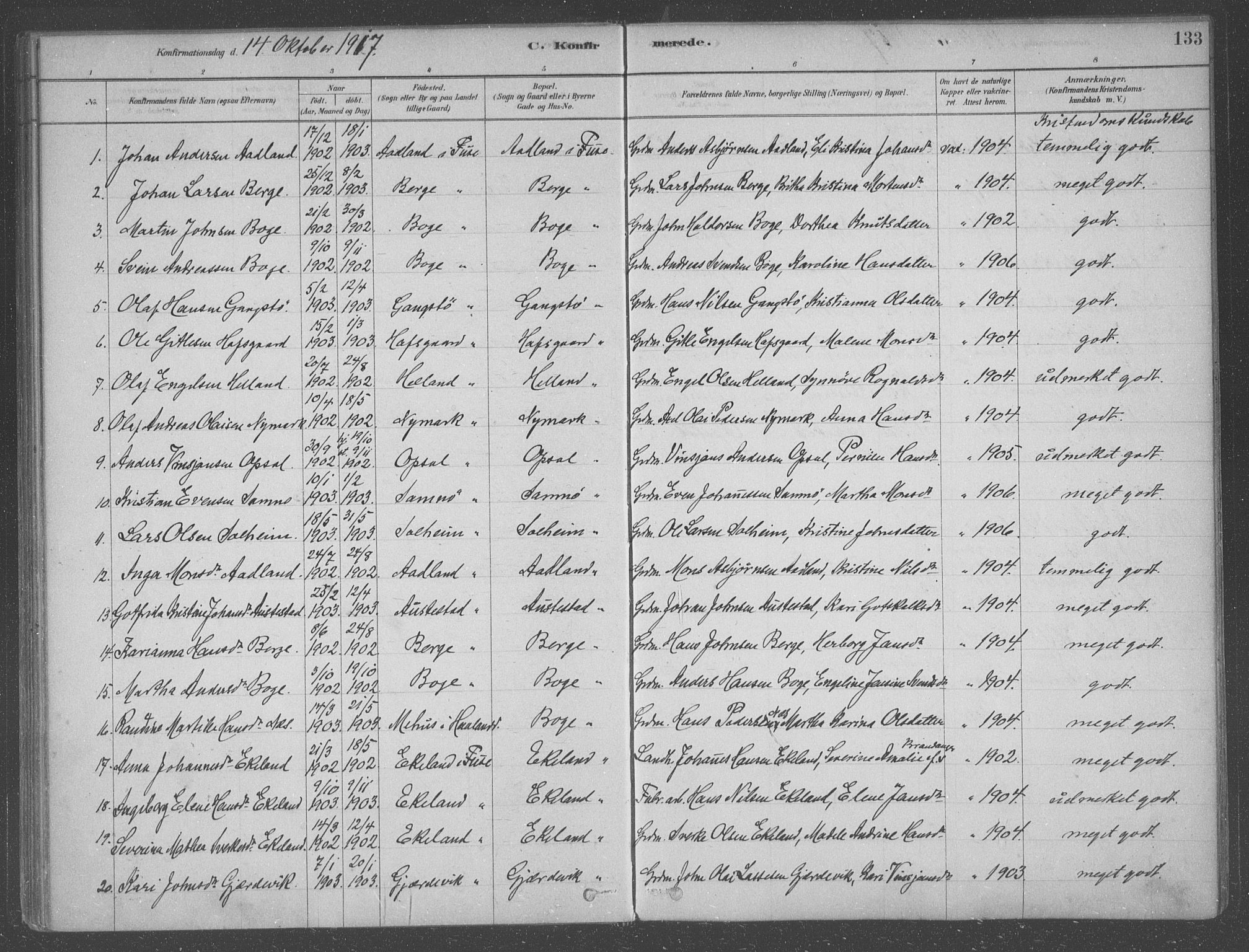 Fusa sokneprestembete, SAB/A-75401/H/Haa: Parish register (official) no. B 1, 1880-1938, p. 133