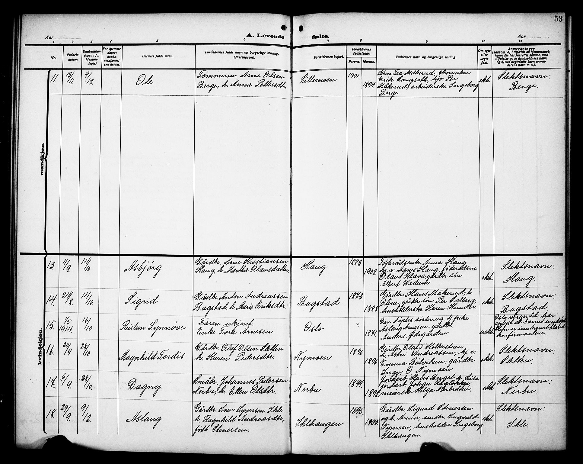 Øyer prestekontor, AV/SAH-PREST-084/H/Ha/Hab/L0007: Parish register (copy) no. 7, 1913-1928, p. 53