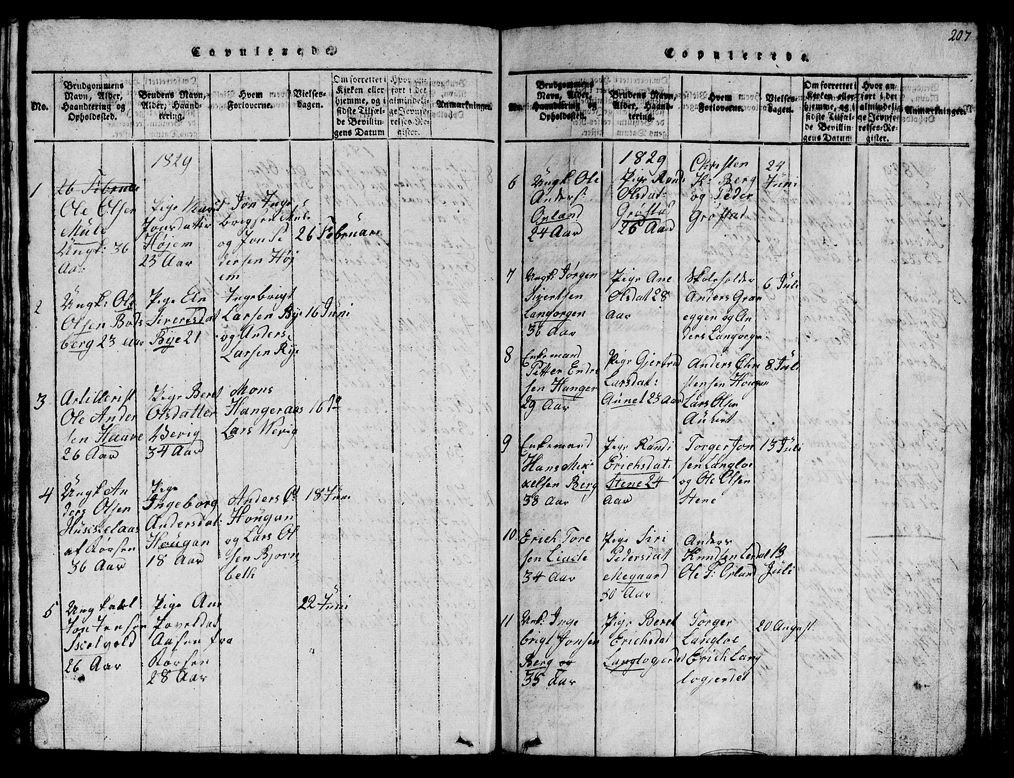 Ministerialprotokoller, klokkerbøker og fødselsregistre - Sør-Trøndelag, SAT/A-1456/612/L0385: Parish register (copy) no. 612C01, 1816-1845, p. 207