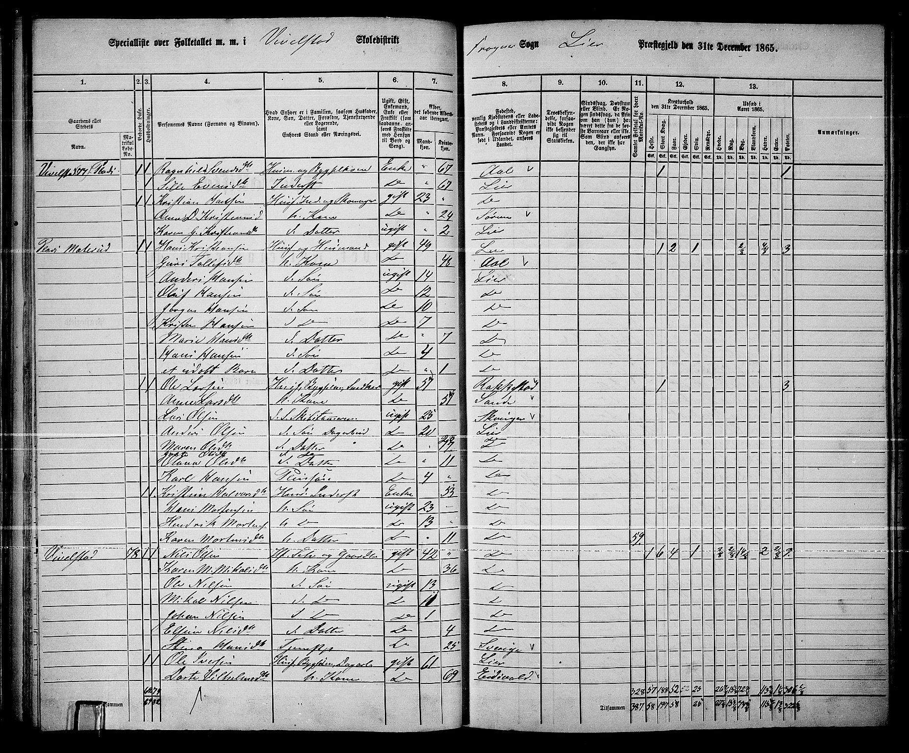 RA, 1865 census for Lier, 1865, p. 54