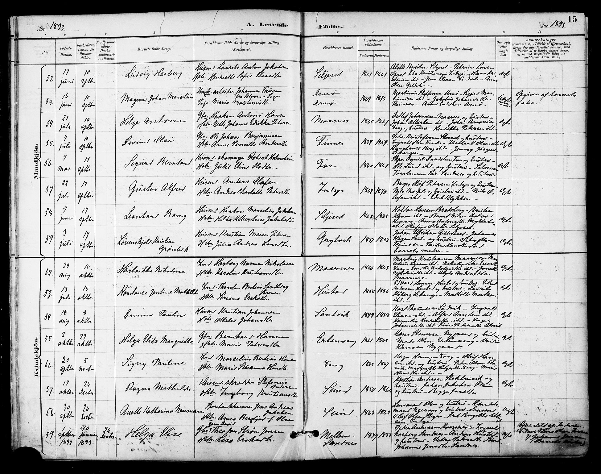 Ministerialprotokoller, klokkerbøker og fødselsregistre - Nordland, SAT/A-1459/805/L0101: Parish register (official) no. 805A07, 1892-1899, p. 15