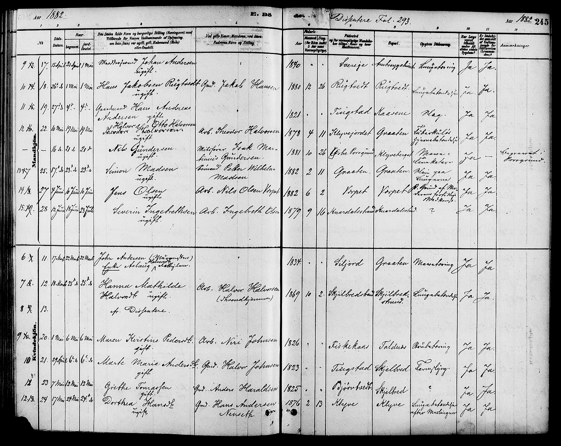 Solum kirkebøker, AV/SAKO-A-306/F/Fa/L0009: Parish register (official) no. I 9, 1877-1887, p. 245