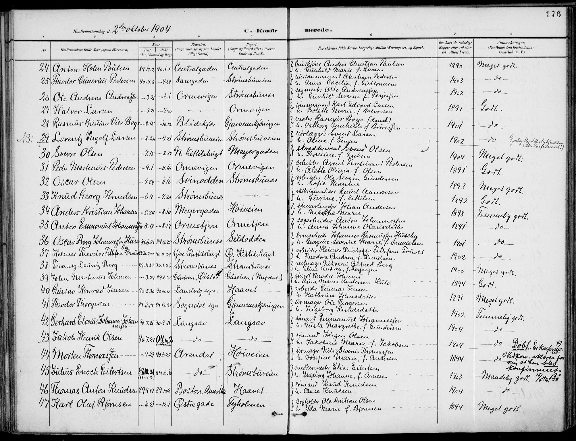 Barbu sokneprestkontor, AV/SAK-1111-0003/F/Fa/L0005: Parish register (official) no. A 5, 1899-1909, p. 176