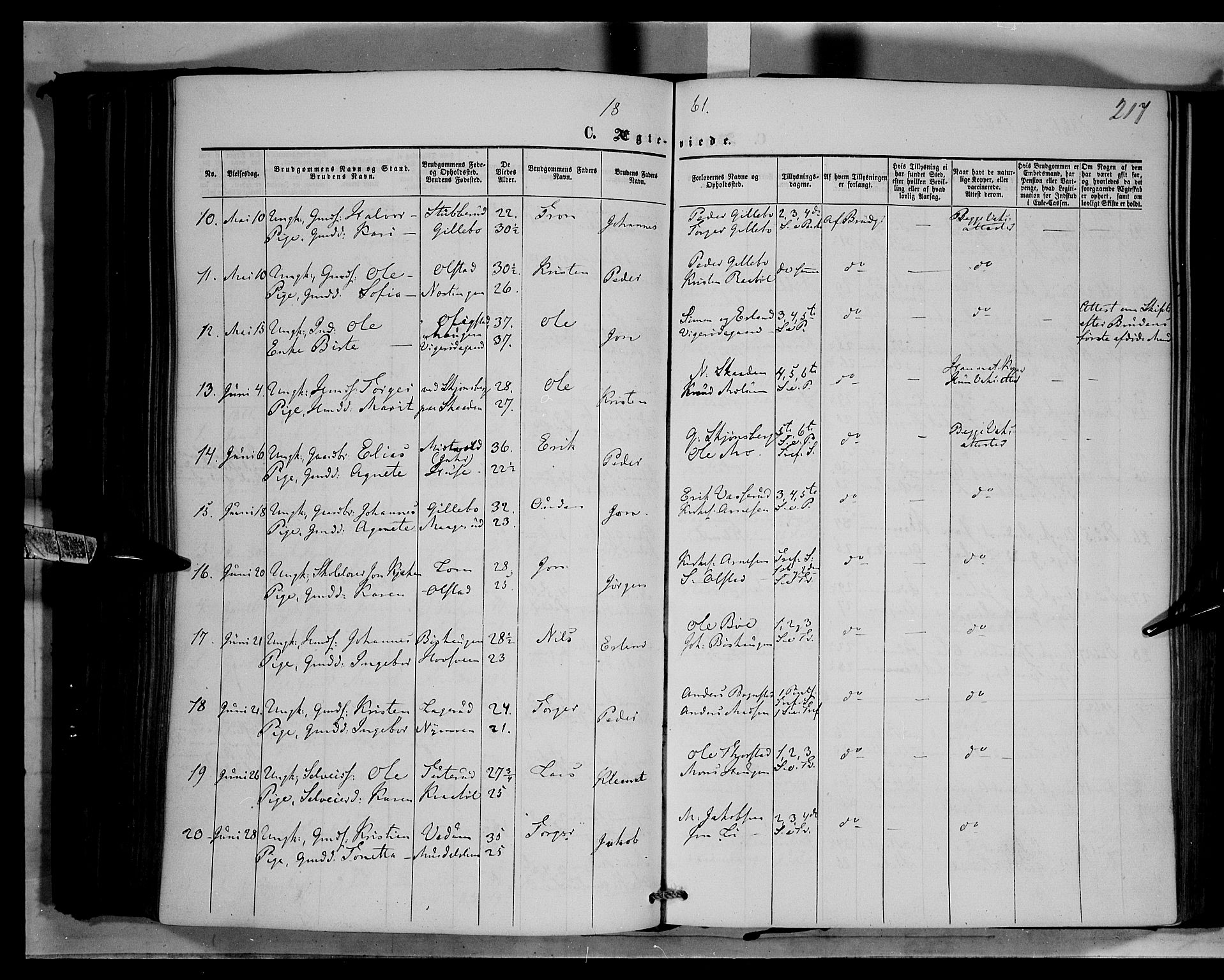 Øyer prestekontor, SAH/PREST-084/H/Ha/Haa/L0006: Parish register (official) no. 6, 1858-1874, p. 217