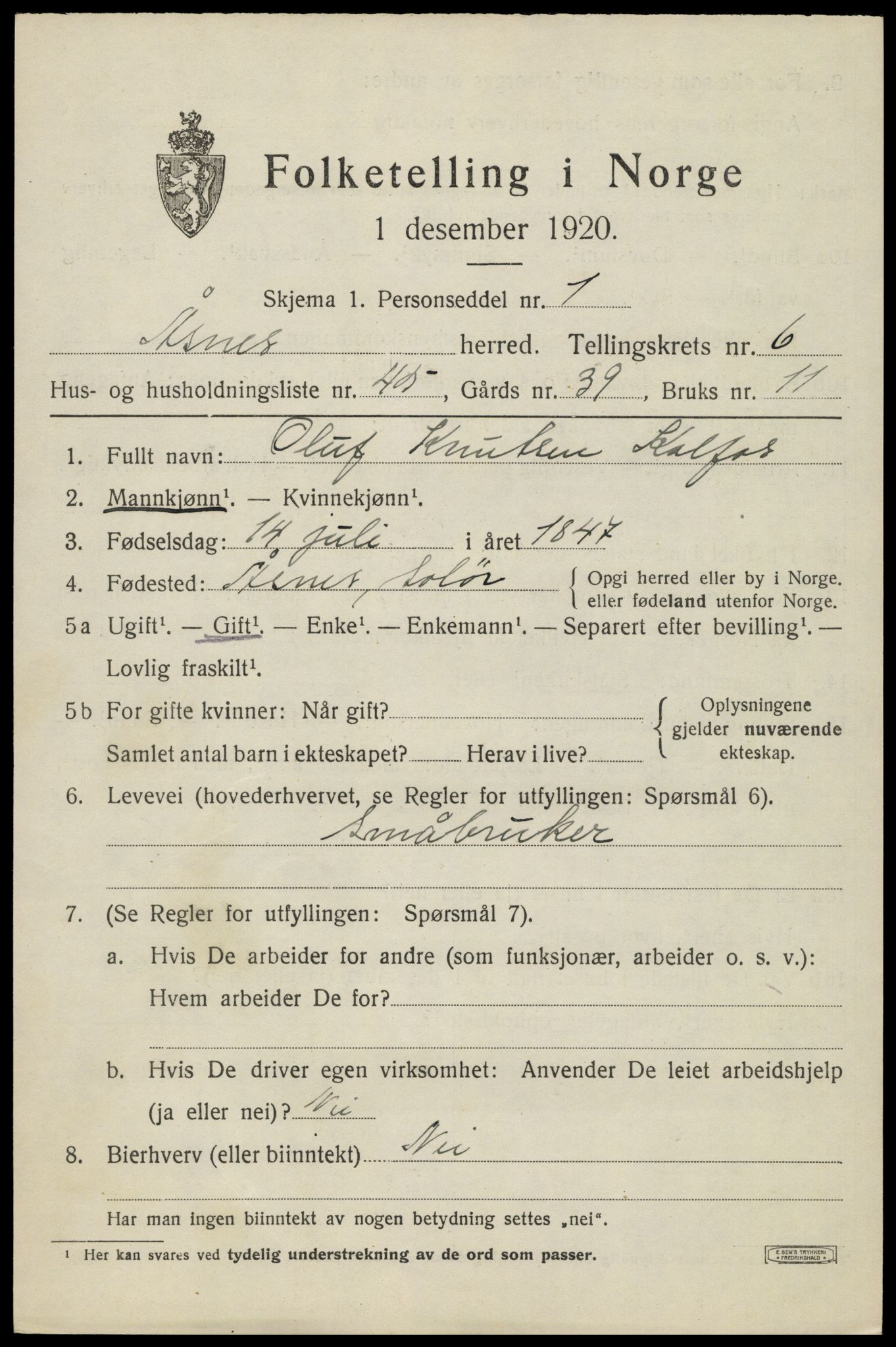 SAH, 1920 census for Åsnes, 1920, p. 8252