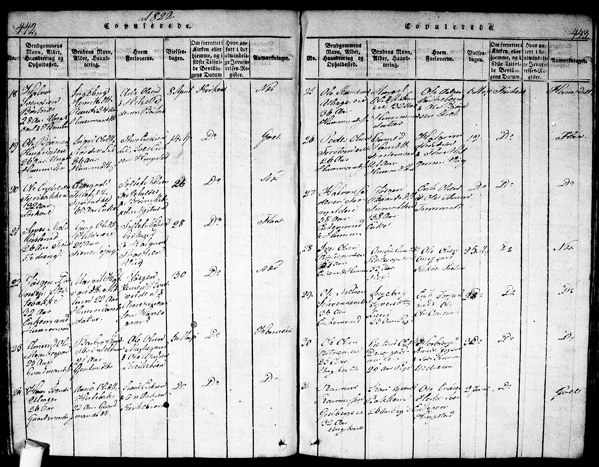 Nes kirkebøker, SAKO/A-236/F/Fa/L0007: Parish register (official) no. 7, 1815-1823, p. 442-443